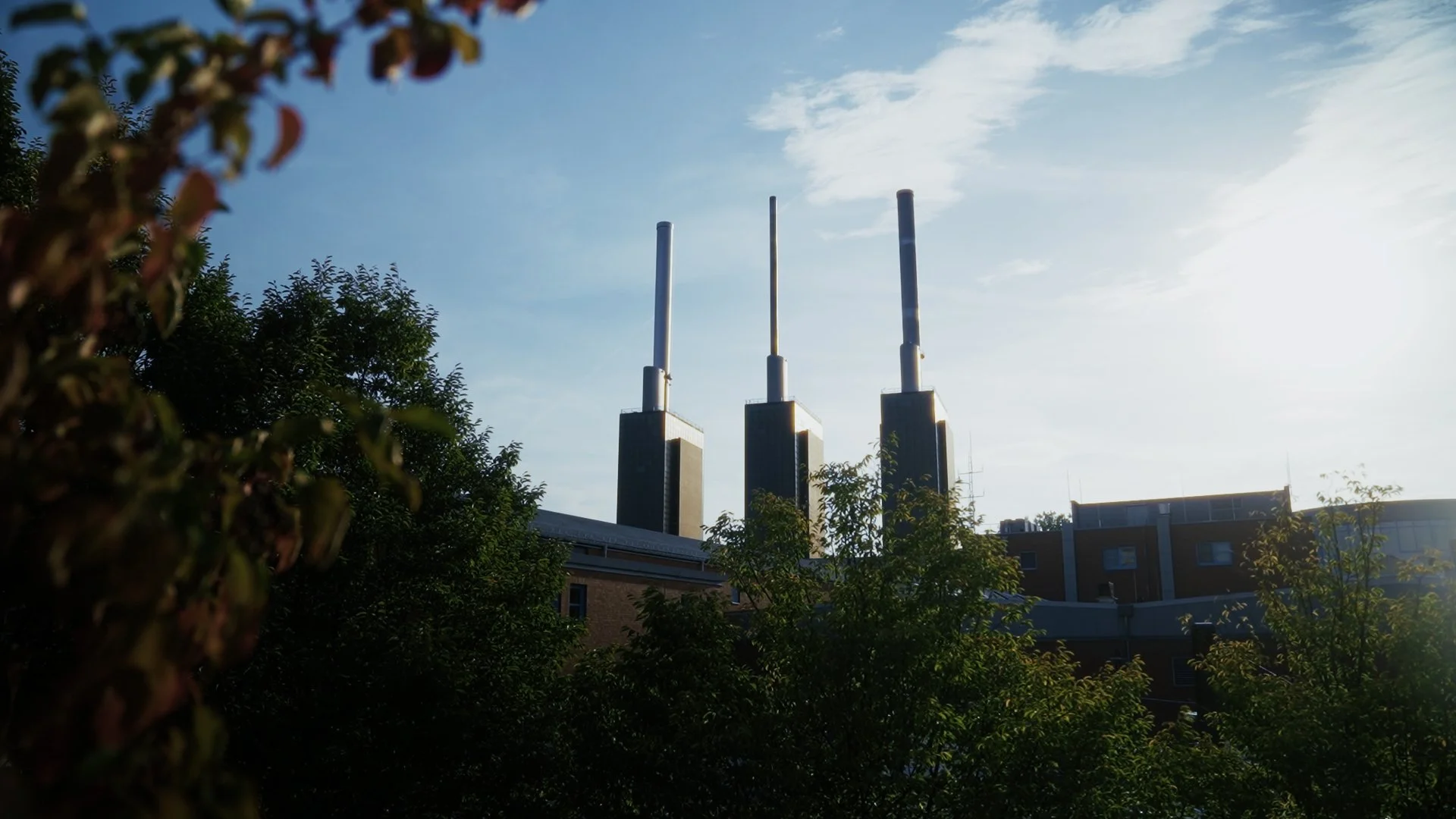 Still 2026-01-12 123720_1.3.2.jpg