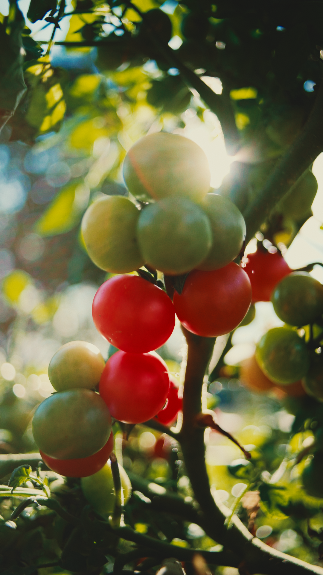 Still 2025-11-10 144537_1.12.1.png