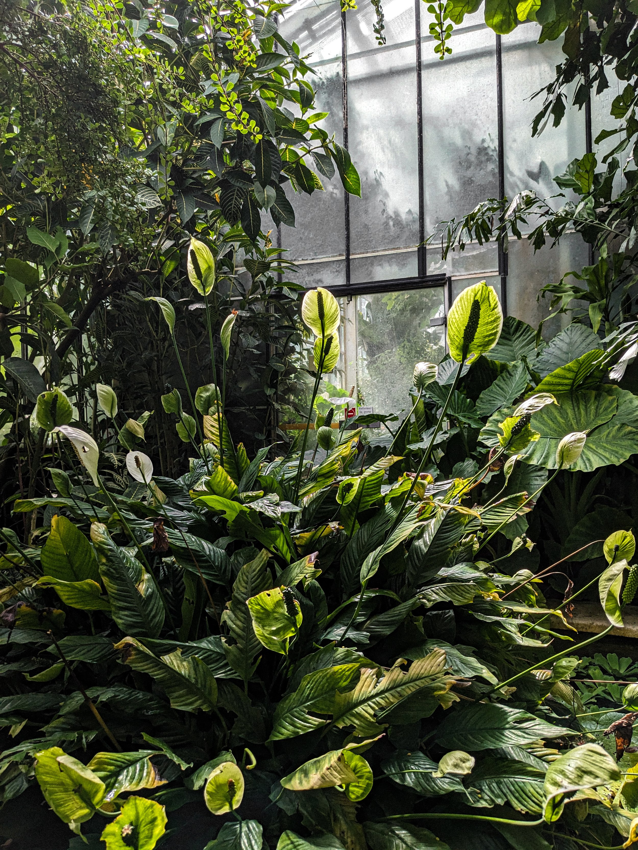 PXL_20230806_132539218.MP (1).jpg