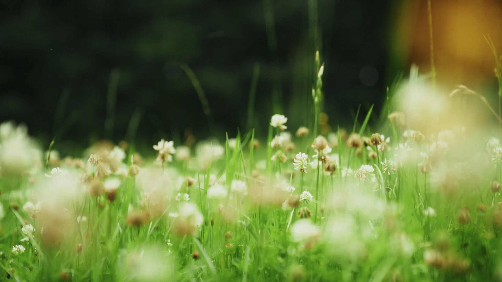 Still 2026-01-12 115055_3.1.2.jpg