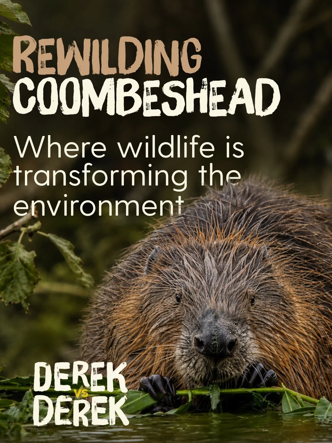 🦫 So many people have been asking us about the conservation work @derekjgow does in Devon, so for those wanting to know more, here&rsquo;s a post just for you! 

➡️ Swipe to find out how Derek Gow turned his sheep farm into a haven for nature. If yo