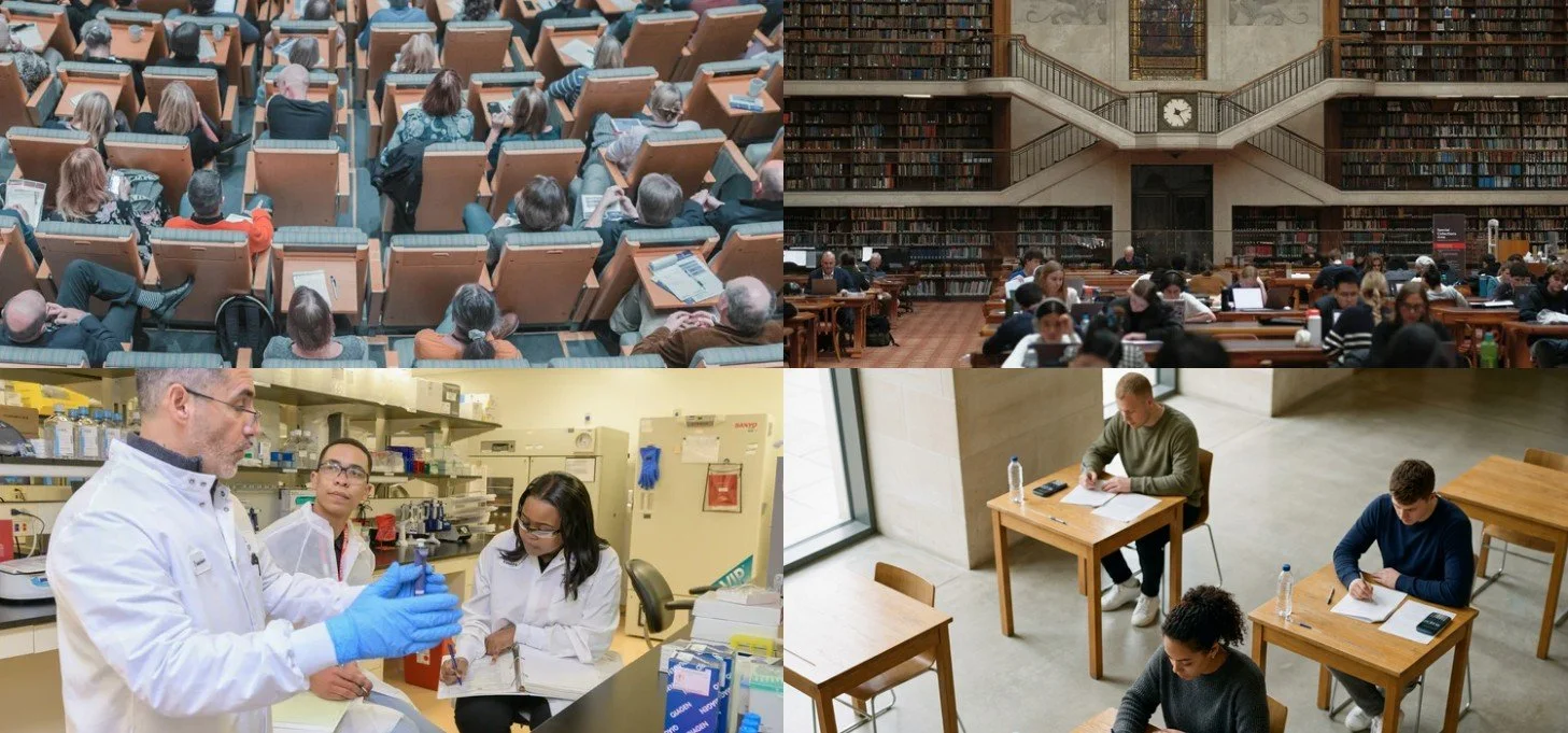 Students participating in teaching, independent study, practical work, and assessment.