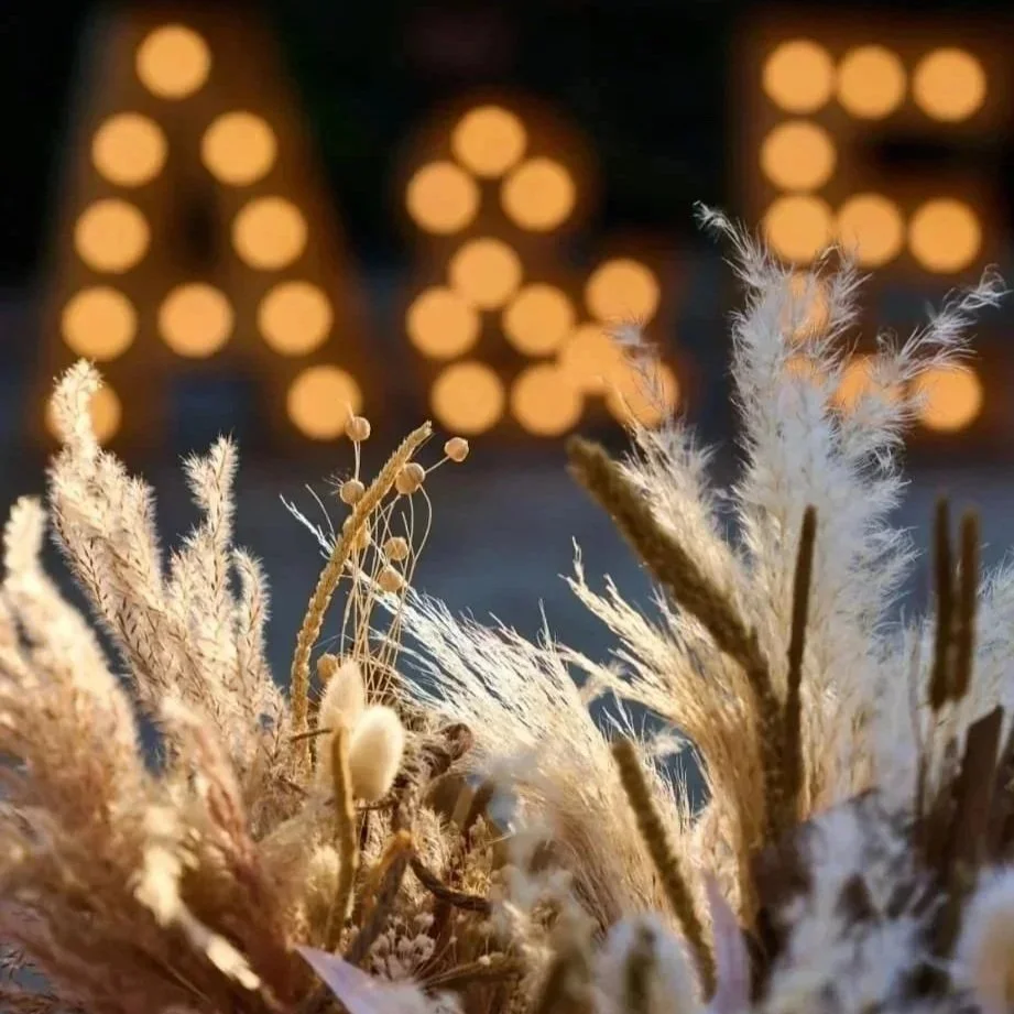 Ramo de flores secas y delicadas con luces naranjas difusas en el fondo.