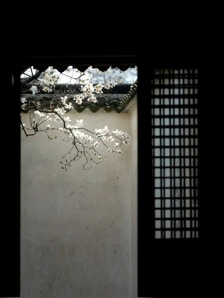 flor de cerezo en blanco.jpg