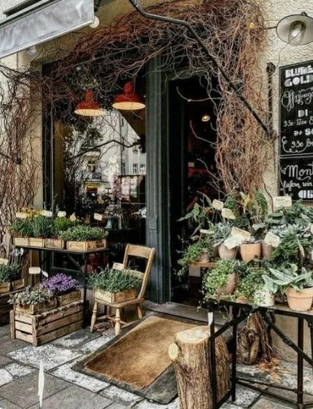 Entrada a una tienda con plantas en macetas y un mueble de madera, en un ambiente decorado con ramas secas y luces.