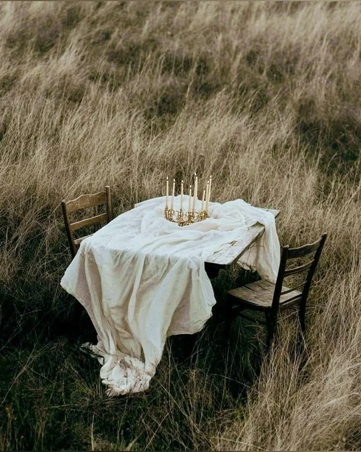 decoracio camp materia.jpg