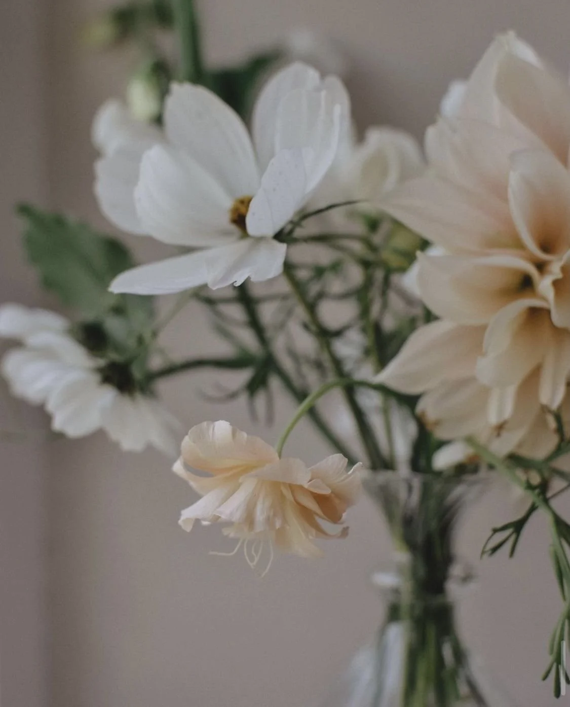 Ramillete de flores blancas en un jarrón