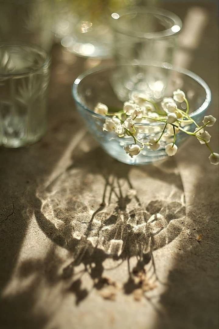 ombres de flors.jpg