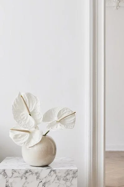 composicion minimal anthurium.jpg