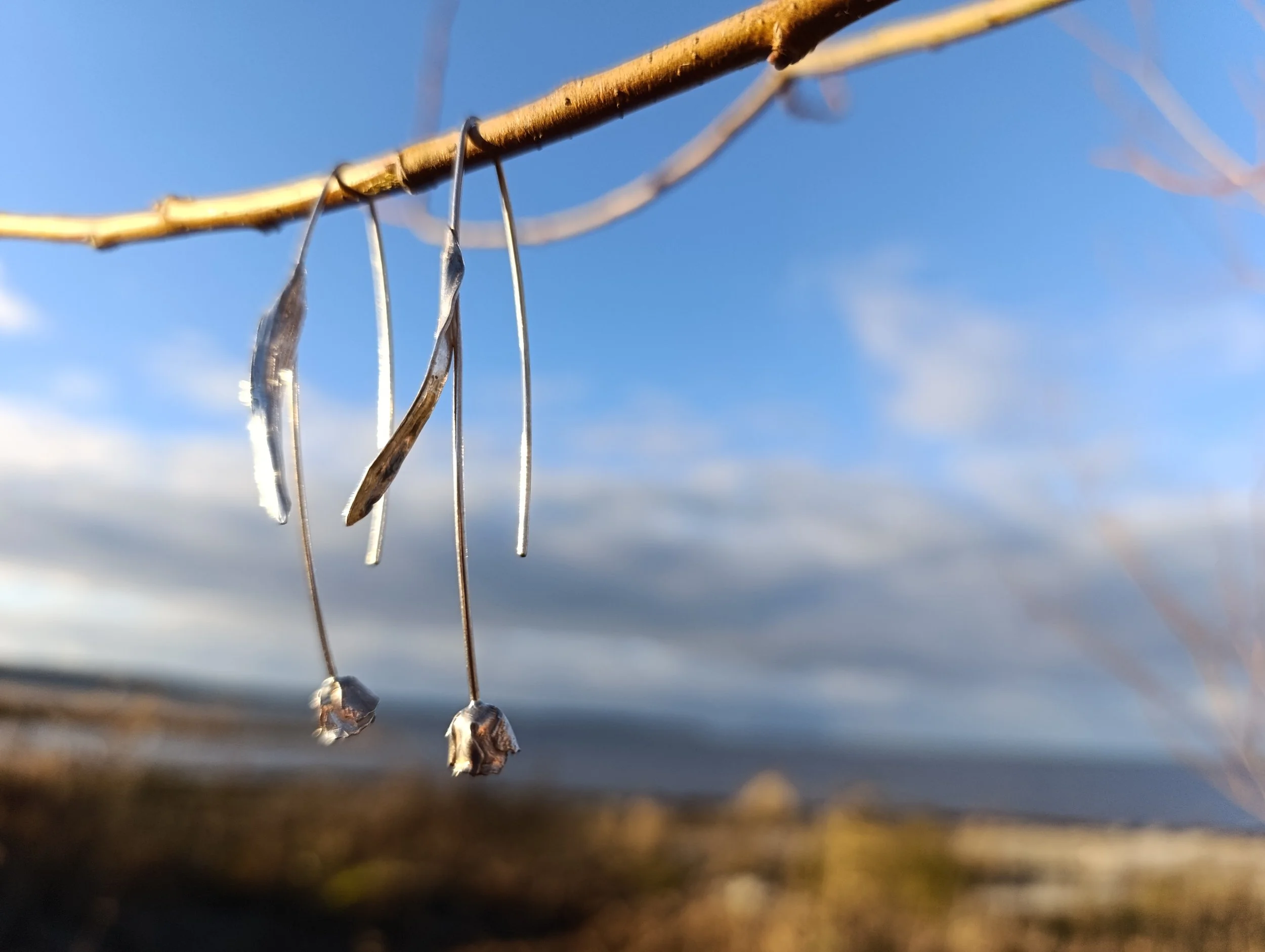 Close-up of dried flowers hanging from a thin branch against a cloudy sky.