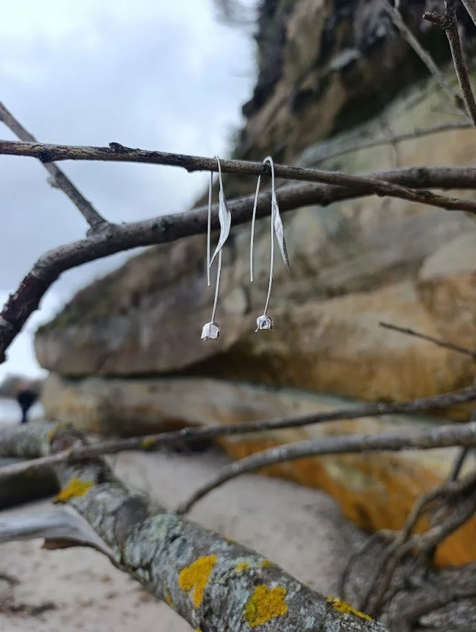 IMG_20251101_143546 (1).jpg