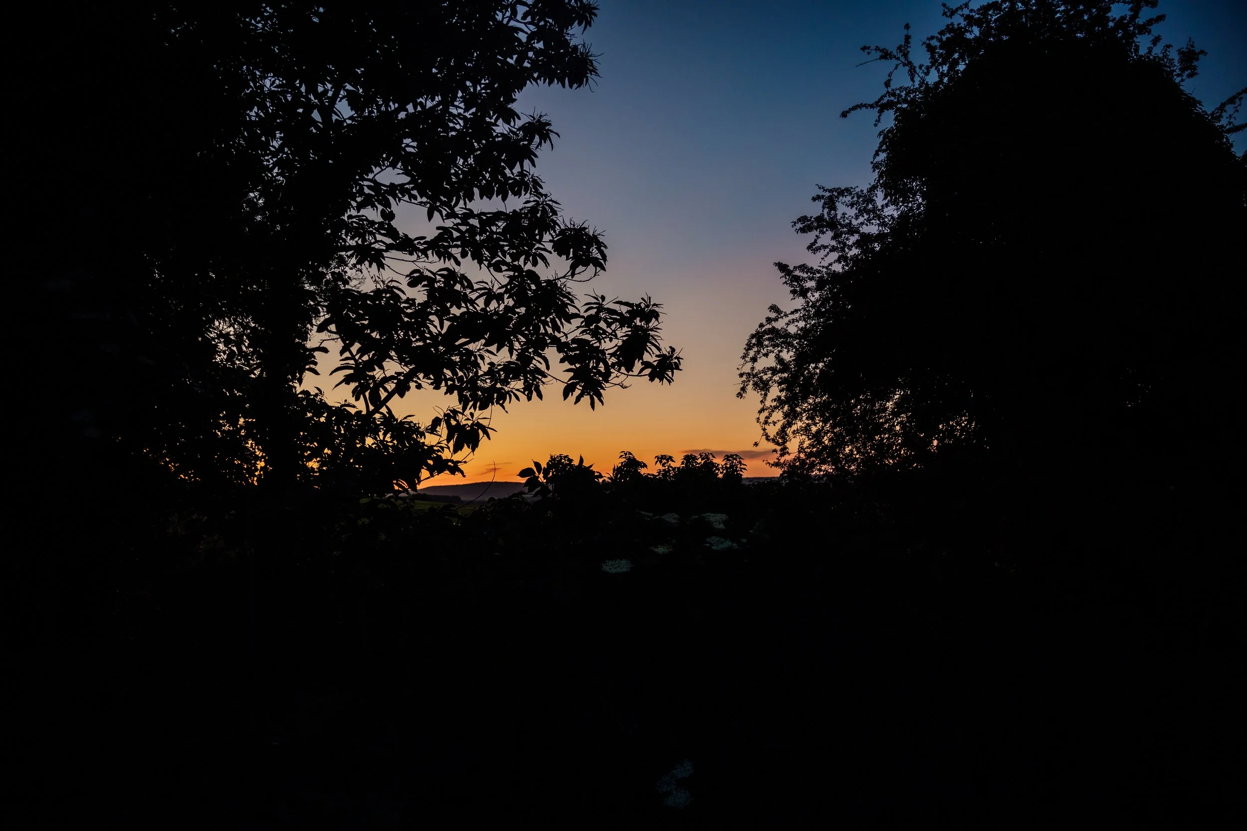 467A3995.jpg
