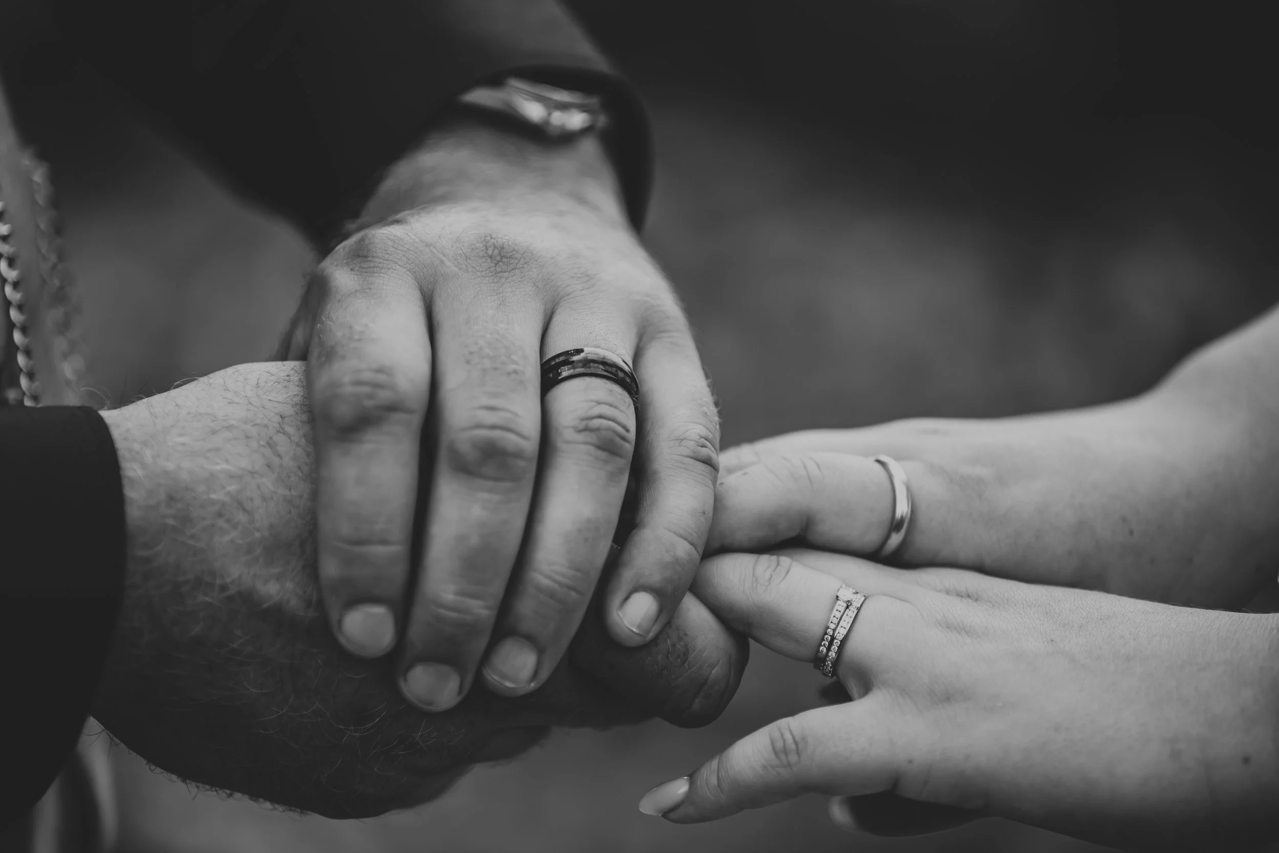 3R4A1356.jpg