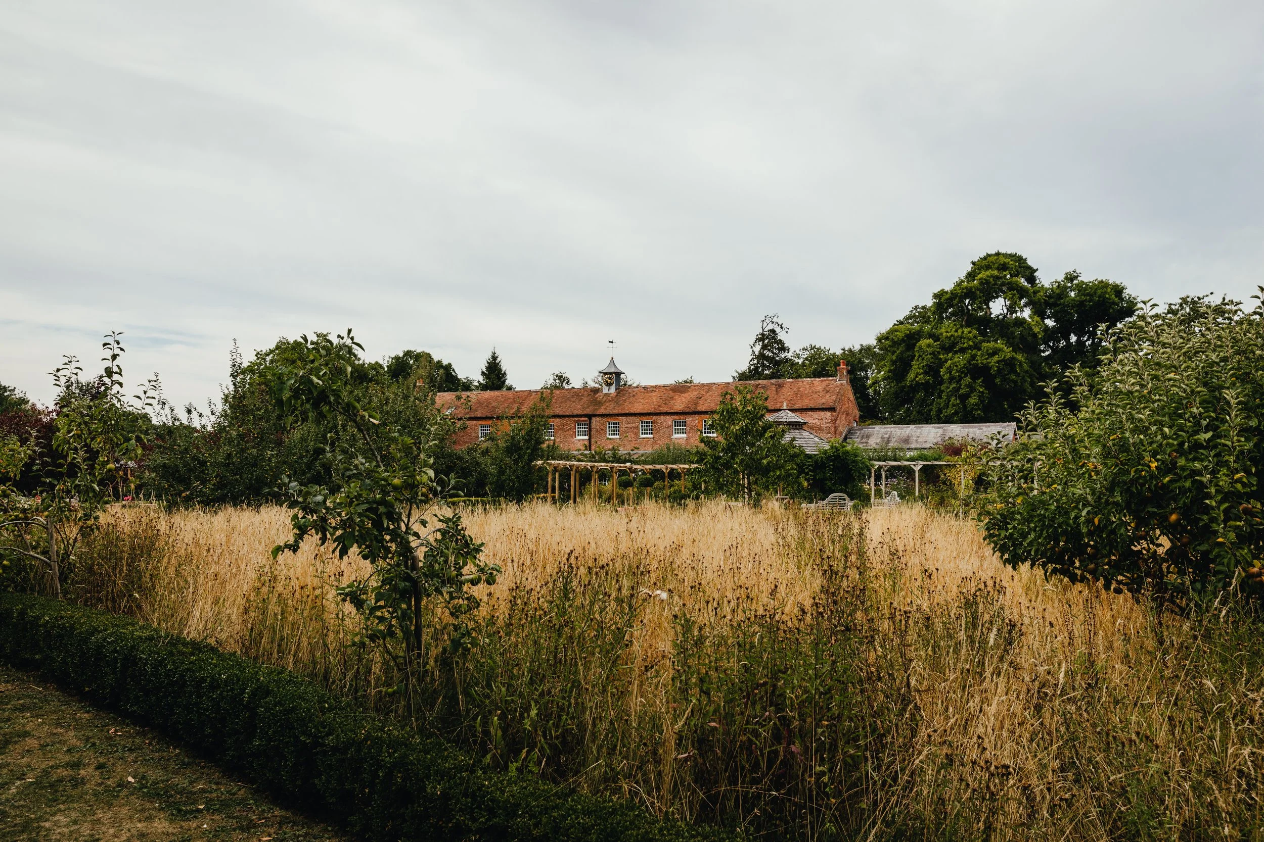 467A8815.jpg