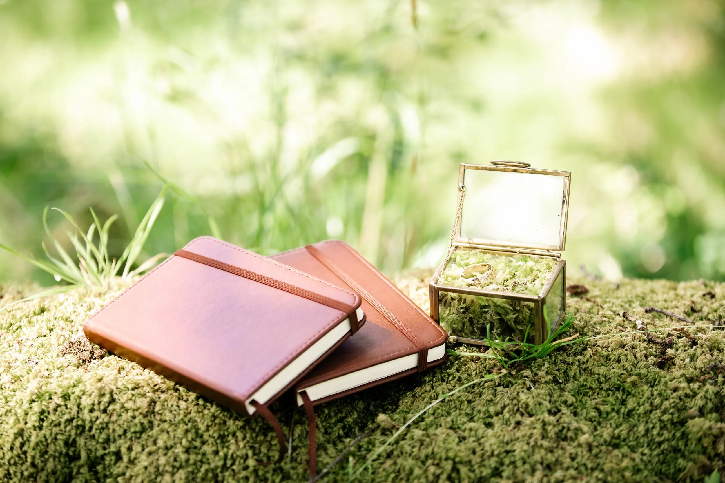 Two pink and brown hardcover notebooks with elastic bands on mossy ground next to a glass box with jewelry inside, all set in a green forest environment.