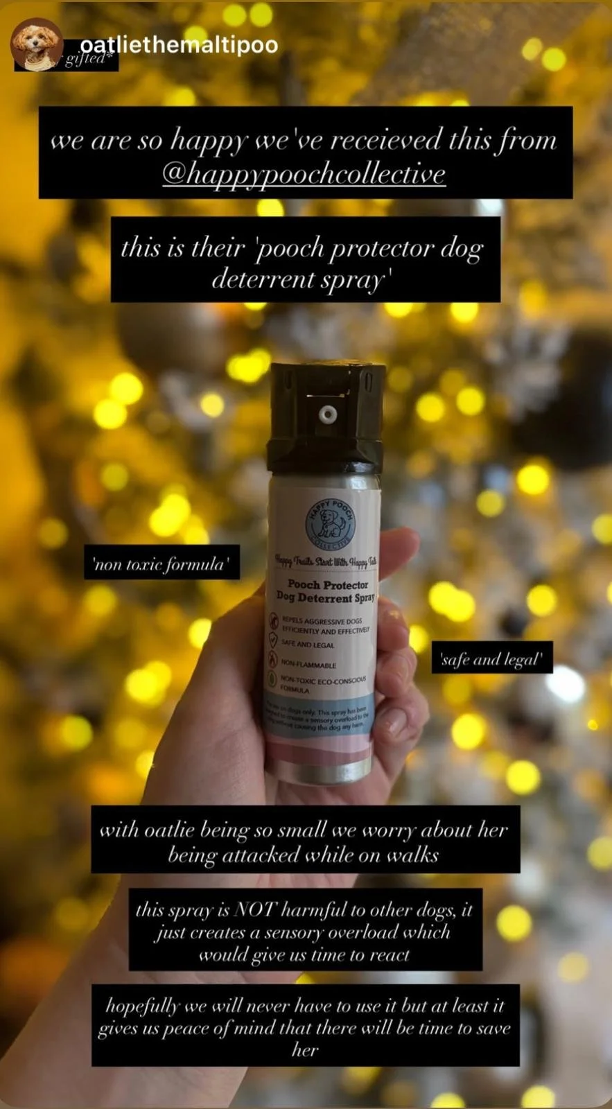 A person holding a can of happy pook dog deterrent spray in front of a blurred background with yellow lights. Text overlays describe the product as a safe, legal, non-toxic, and effective dog deterrent spray for aggressive dogs, created with non-toxic eco-conscious formula.