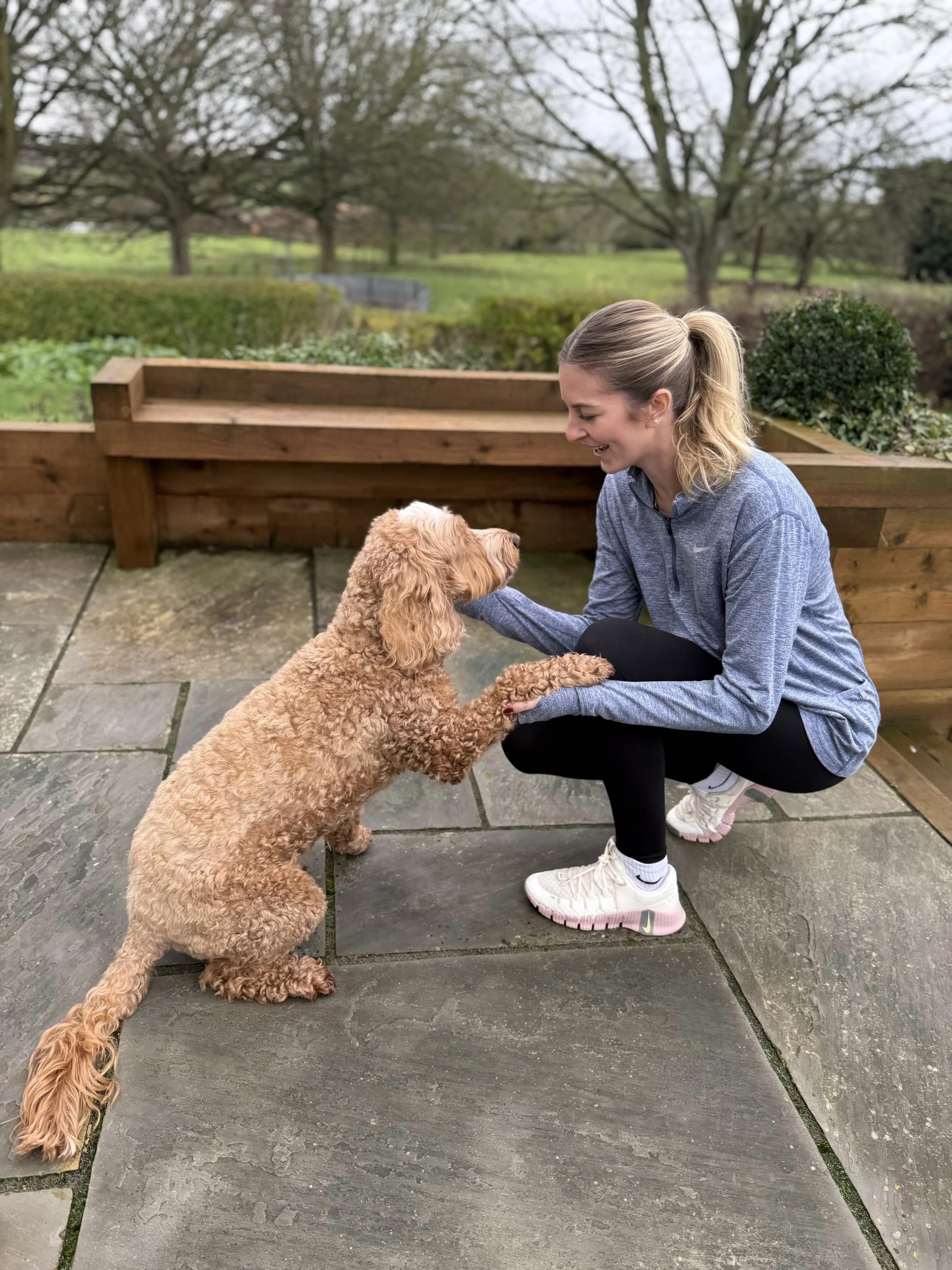 A woman in athletic clothing smiling and squatting and holding paws with a curly-haired dog sitting on a patio.