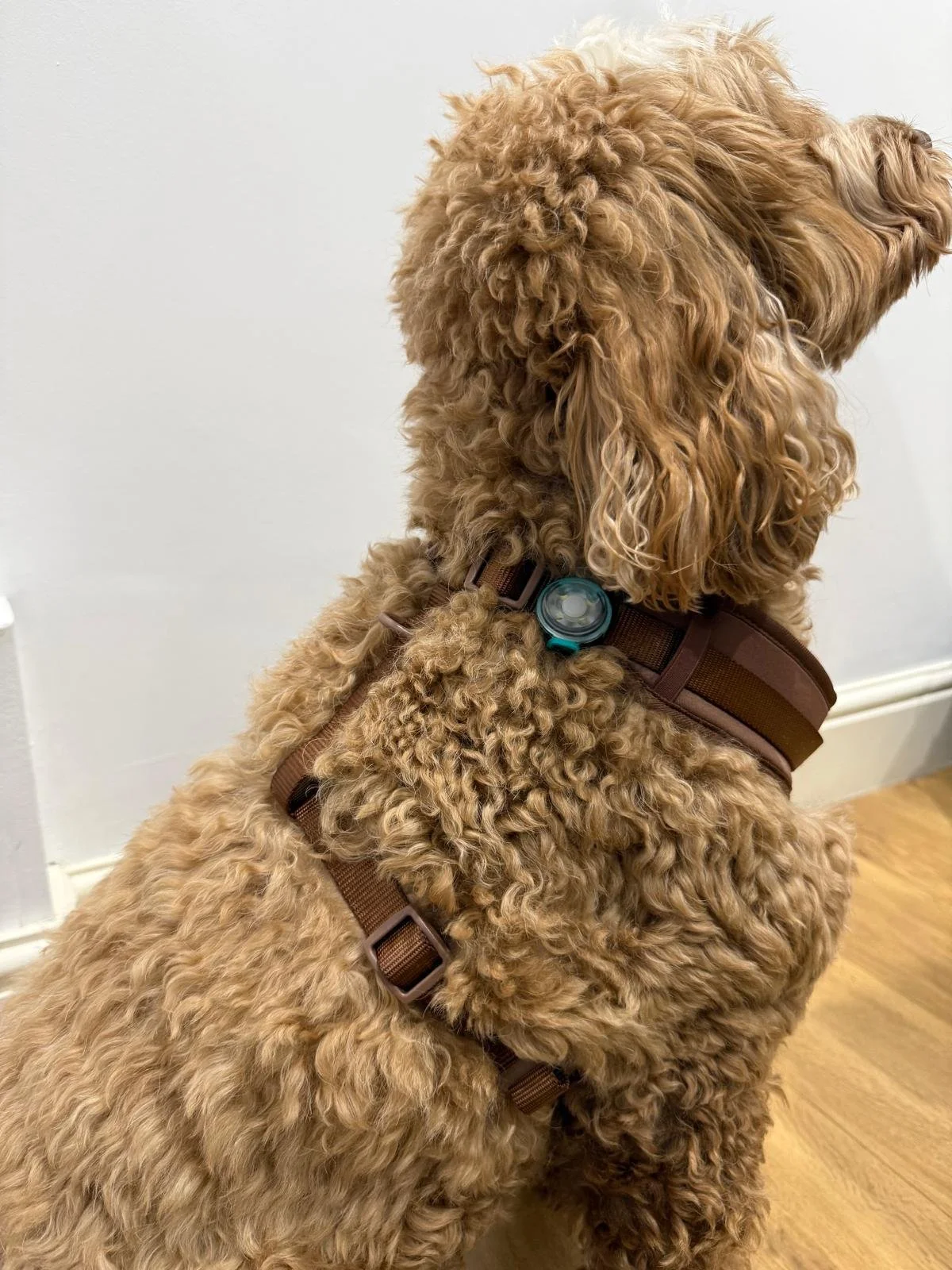 WhatsApp Image 2026-04-07 at 10.58.08.jpeg