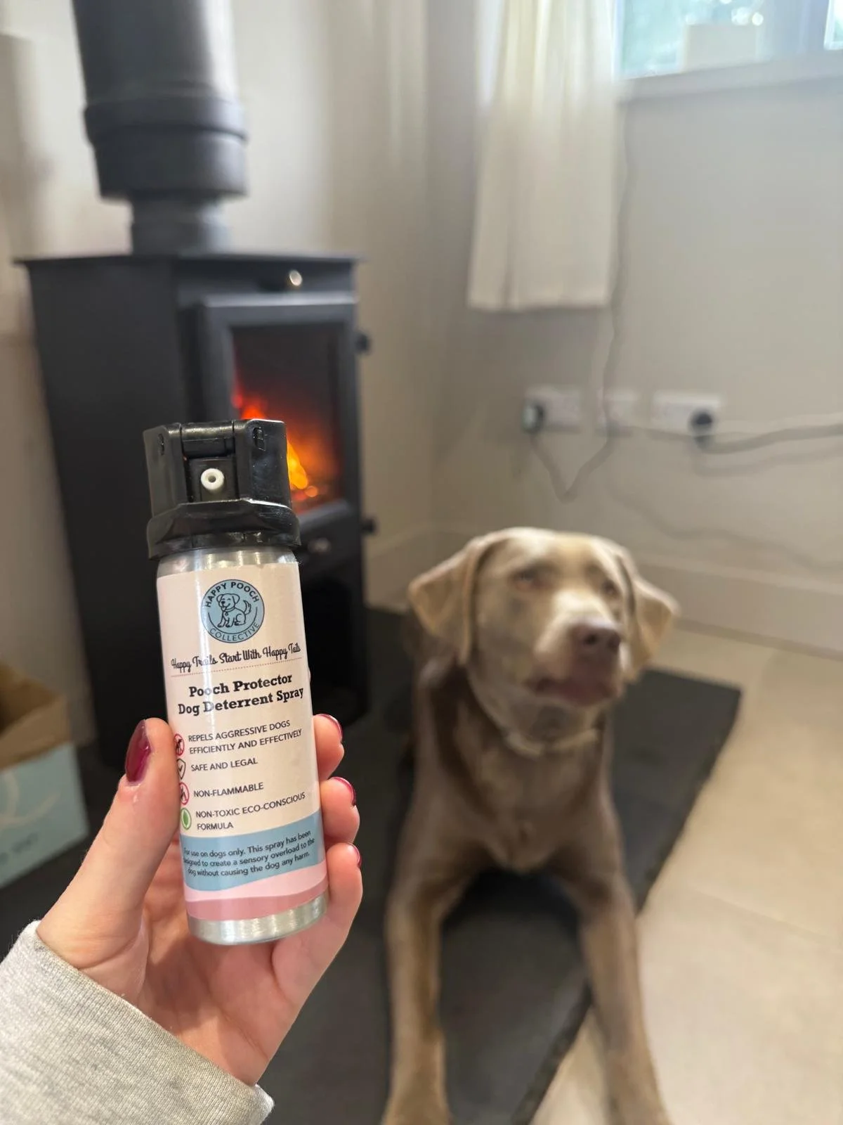 WhatsApp Image 2026-01-02 at 10.22.39.jpeg