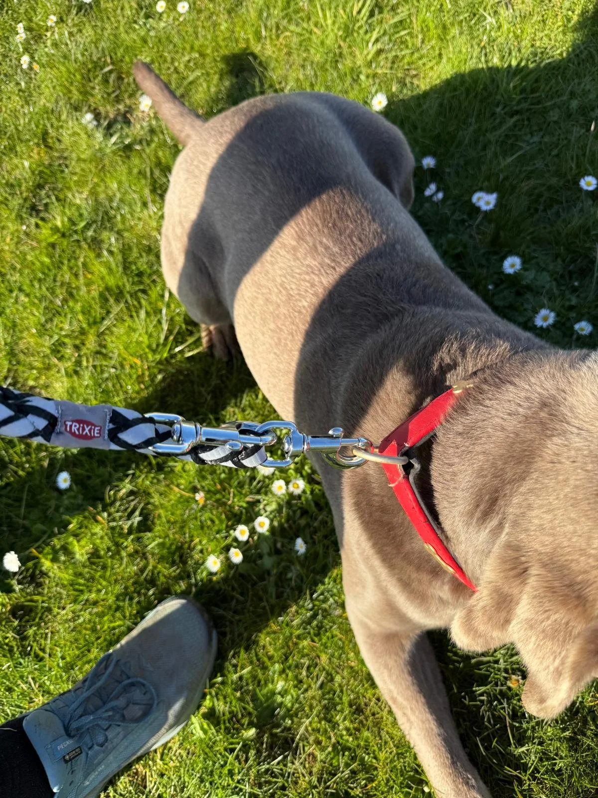 WhatsApp Image 2026-04-20 at 16.02.35 (2).jpeg