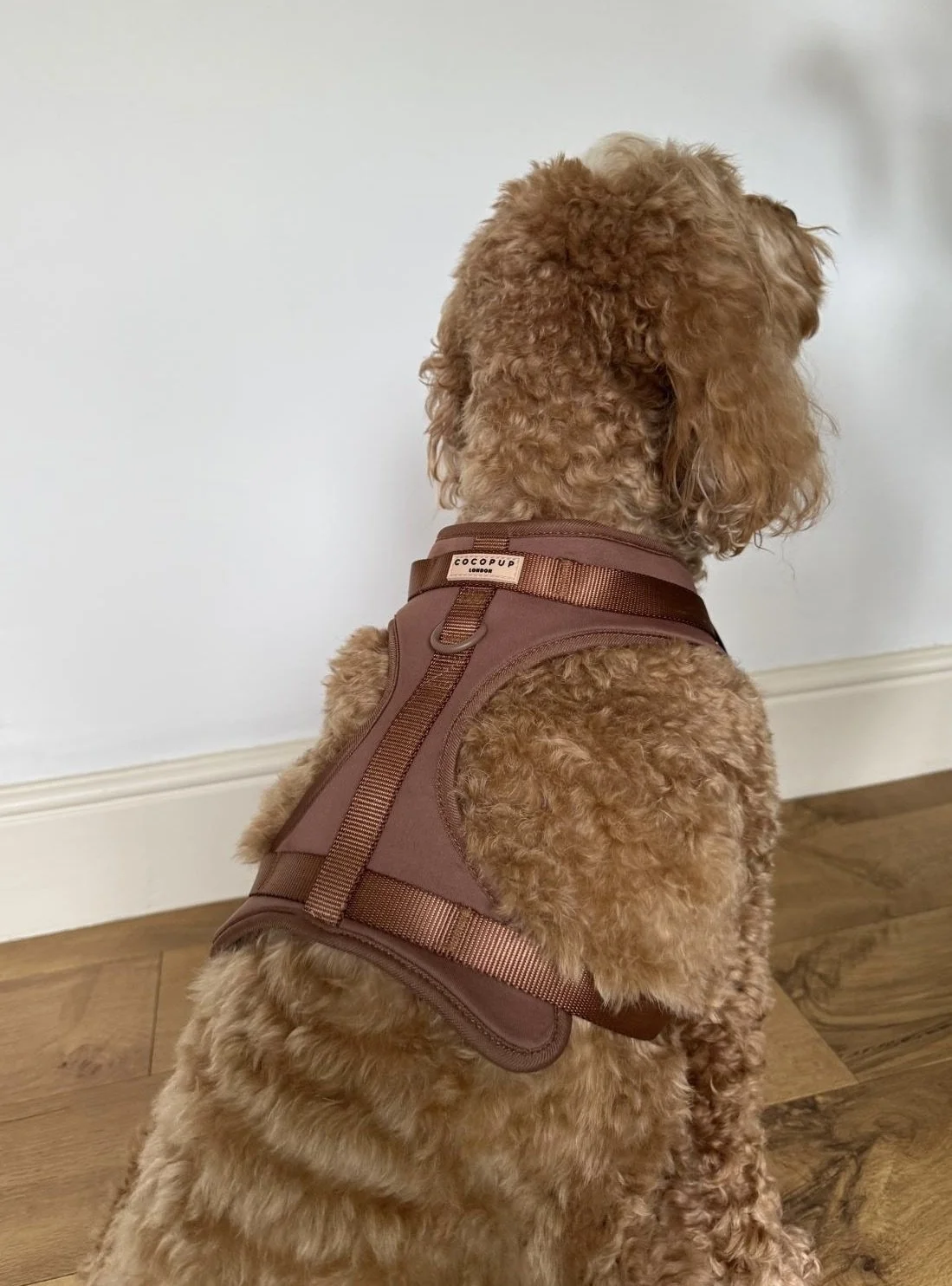 Nakd Adjustable Neck Harness - Brownie