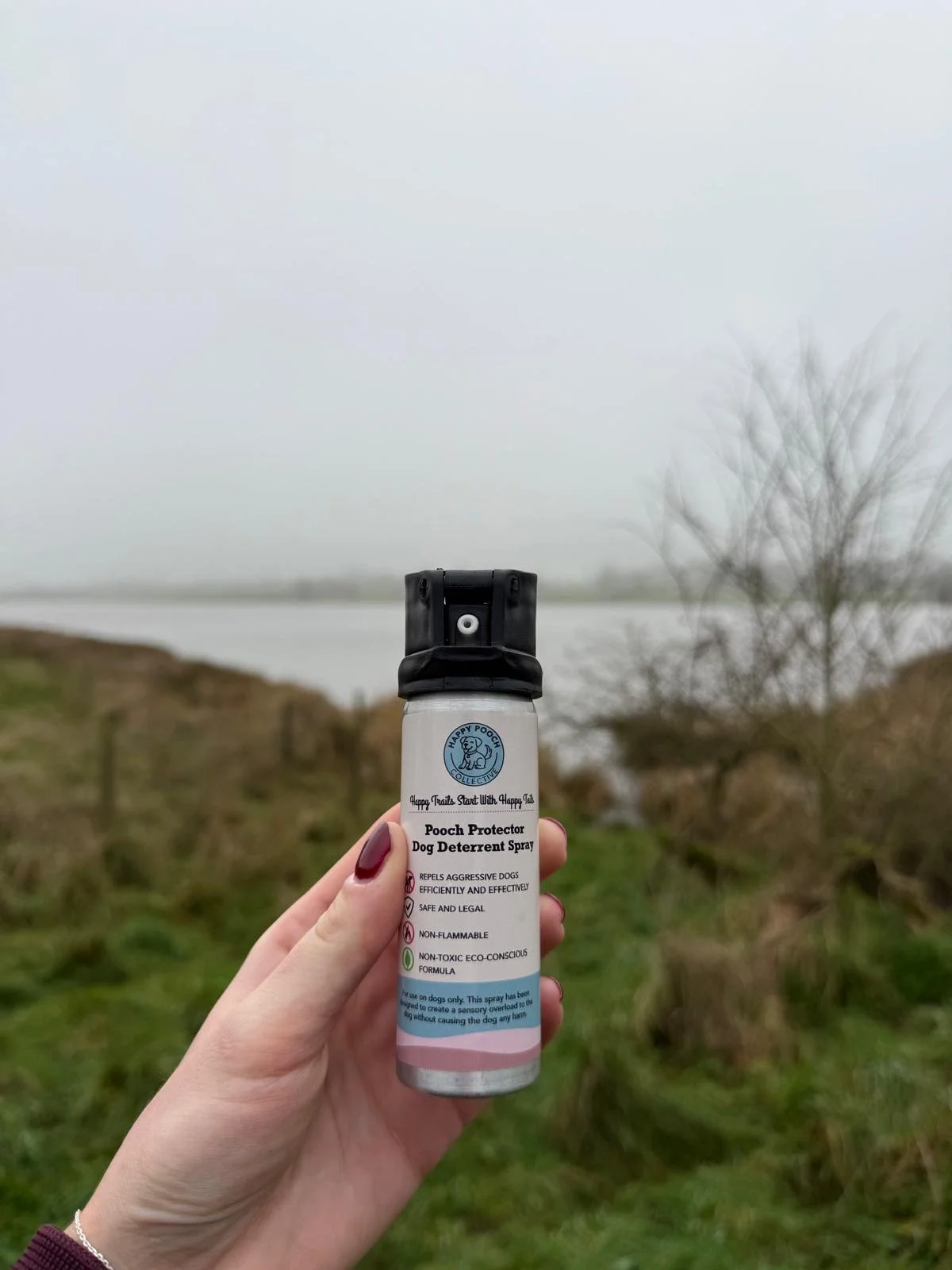 WhatsApp Image 2026-01-05 at 10.40.54.jpeg