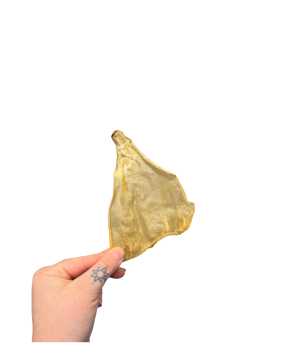 Untitled design - 4.png