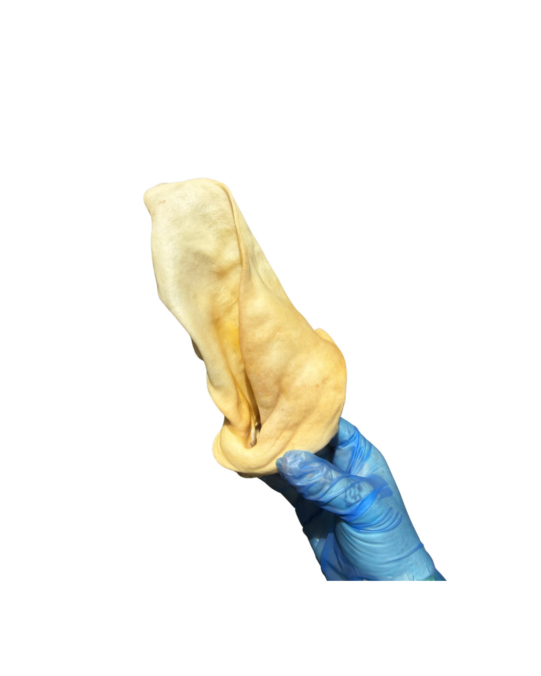 Untitled design - 31.png