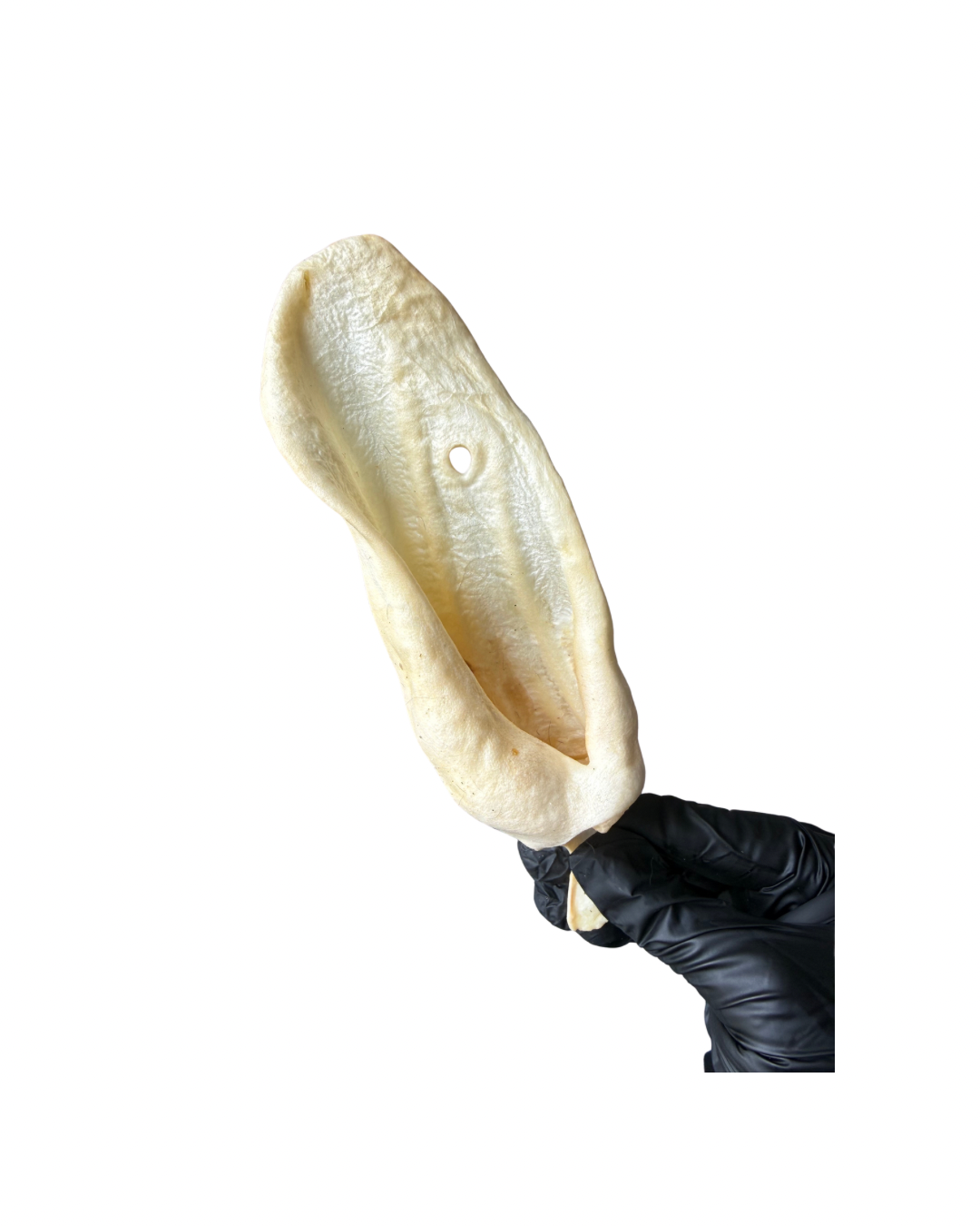 Untitled design - 61.png
