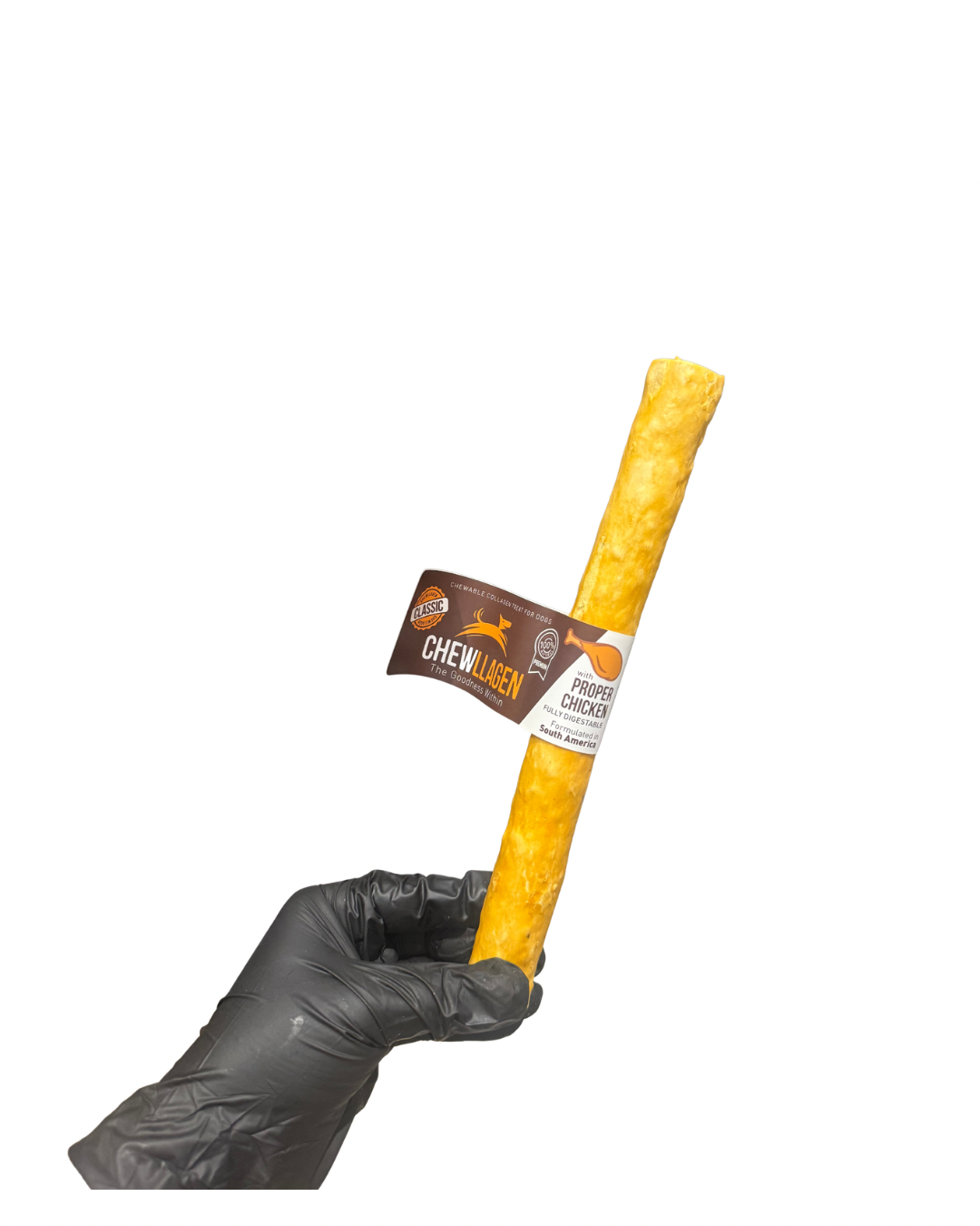 Untitled design - 48.png