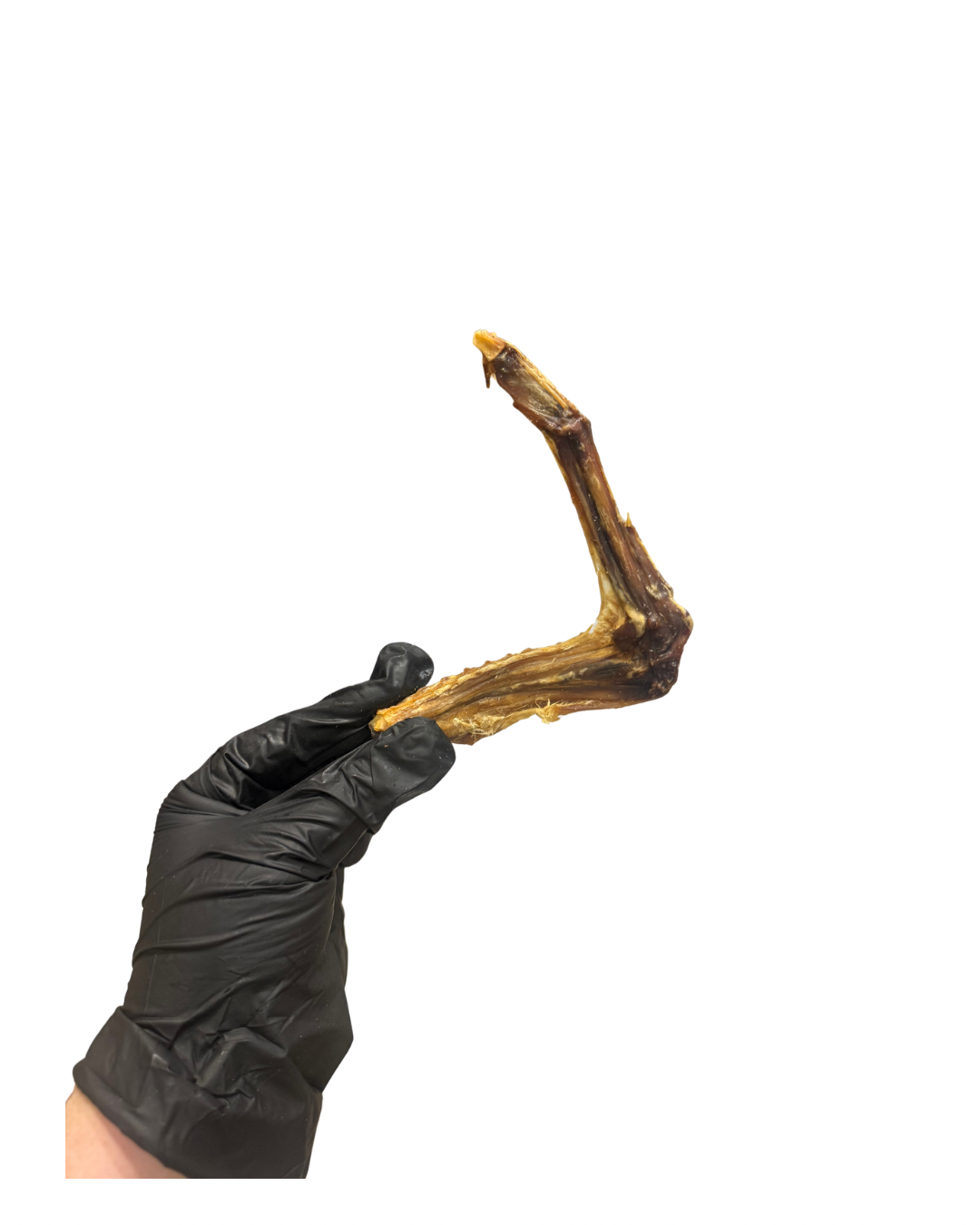 Untitled design - 45.png