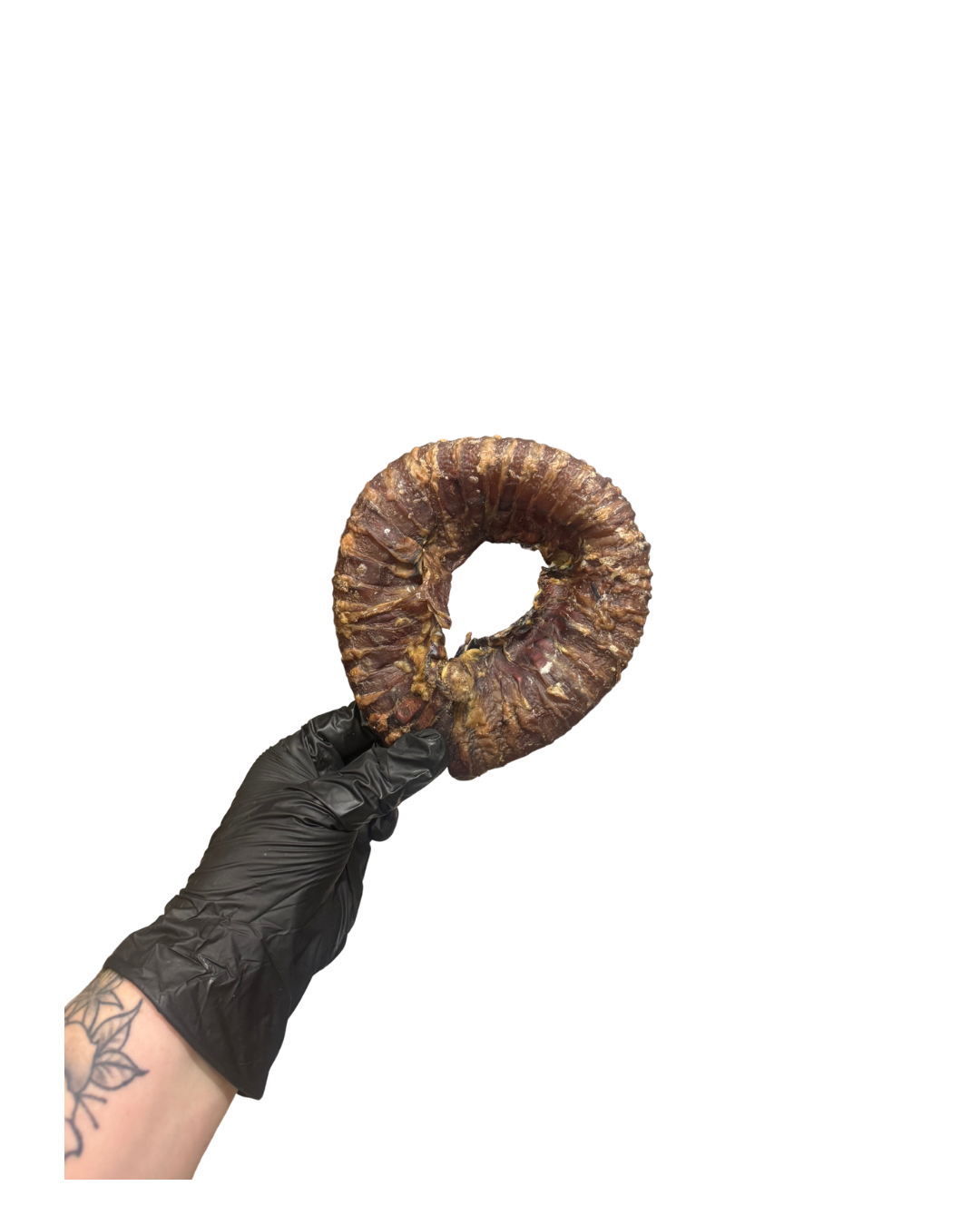 Untitled design - 53.png