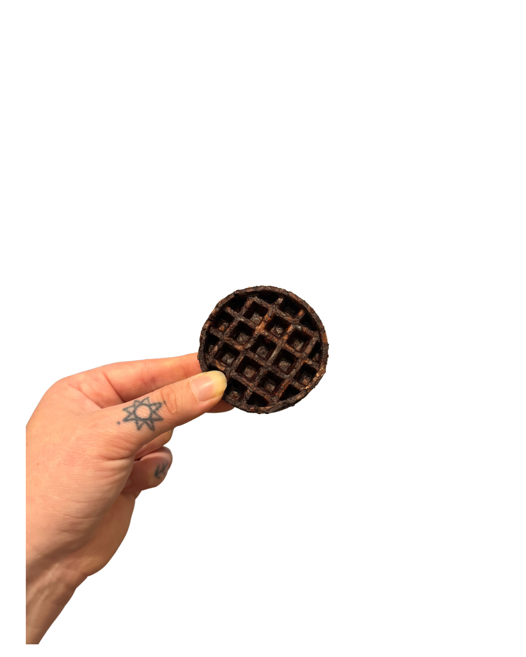 Camel Collagen Waffle