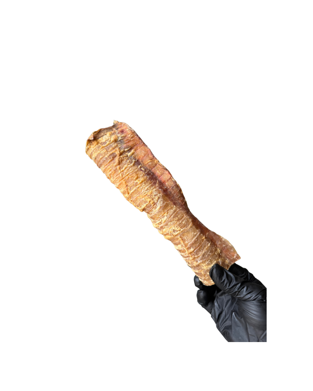 Beef Trachea 24cm
