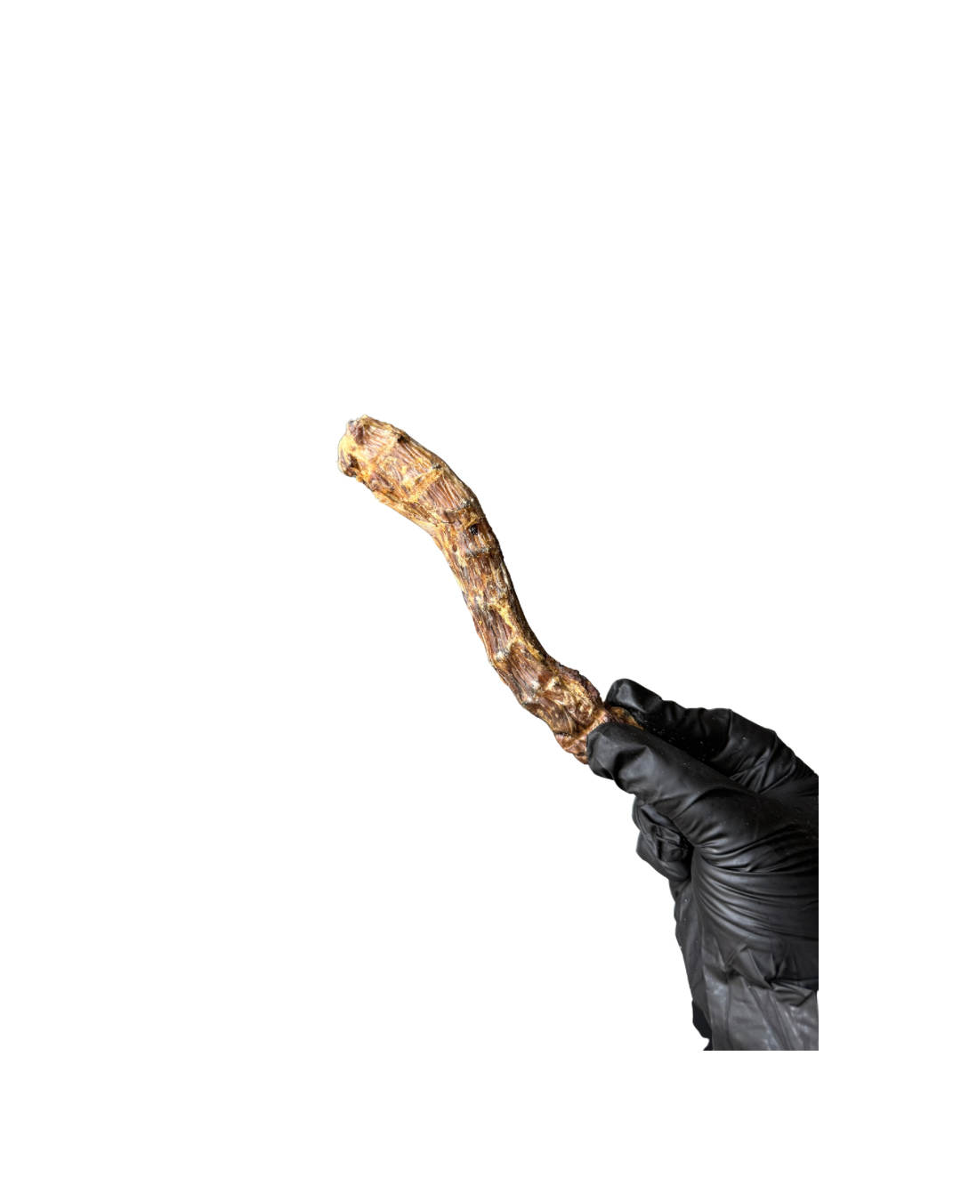 Duck Neck