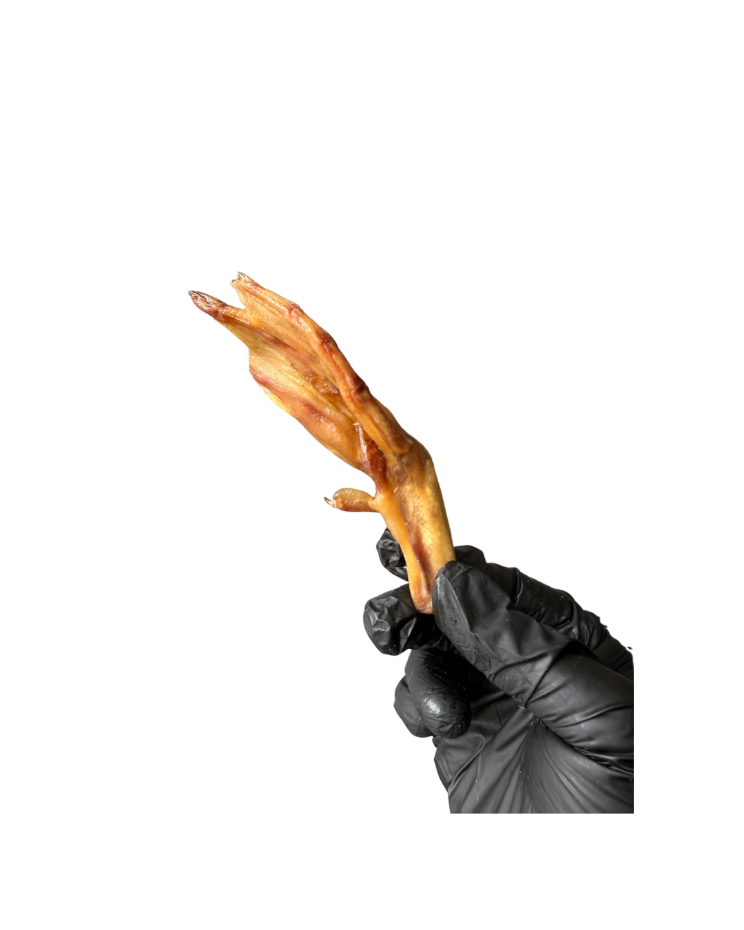 Duck Foot