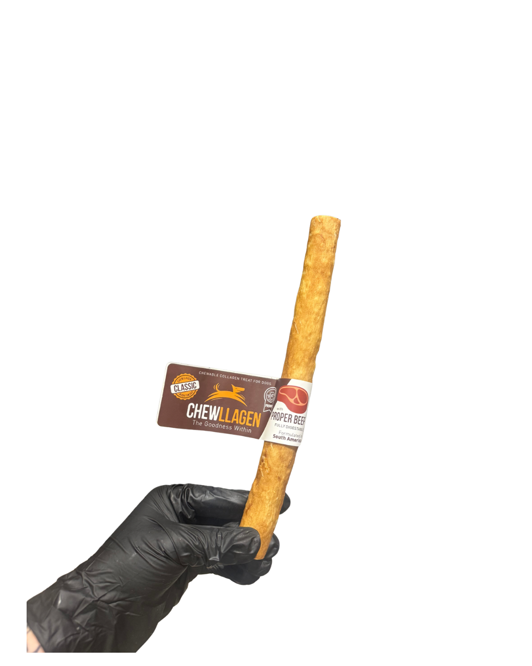 Untitled design - 50.png