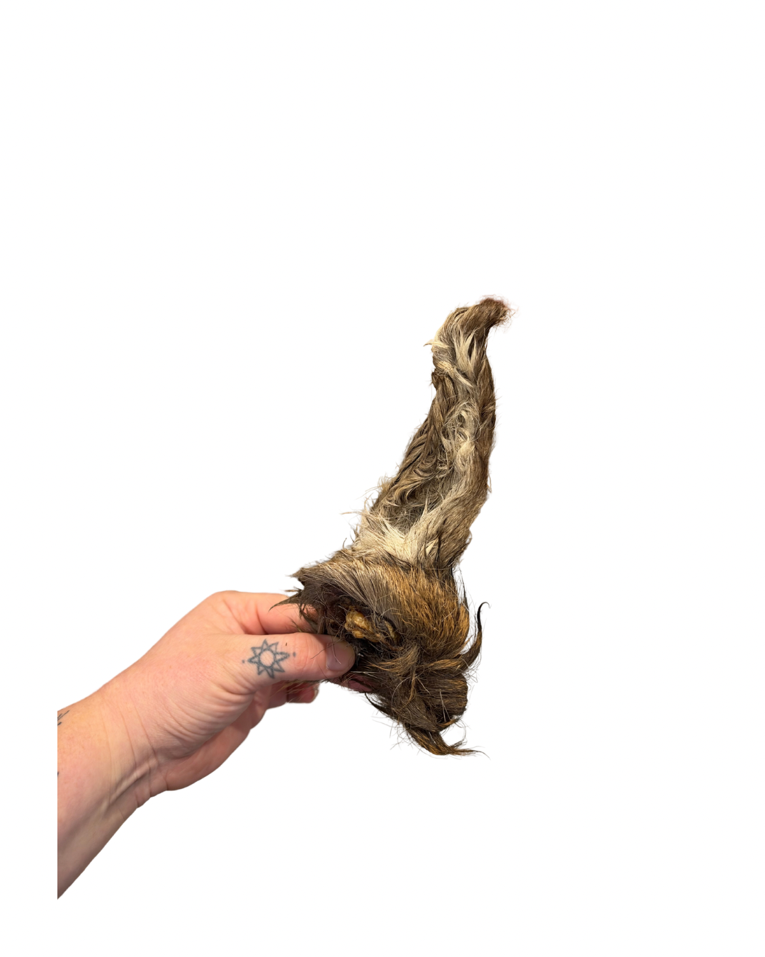 Untitled design - 7.png