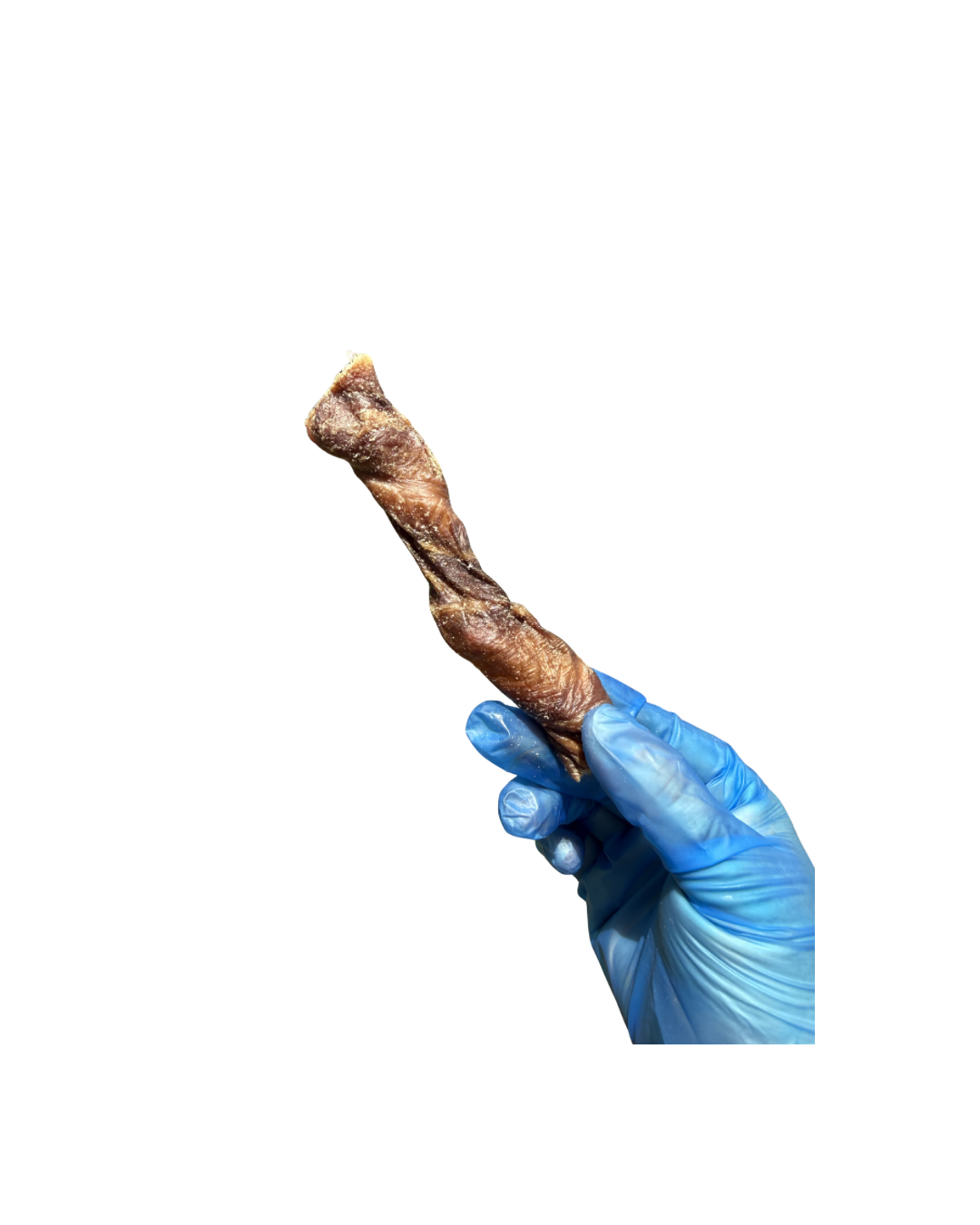 Untitled design - 42.png