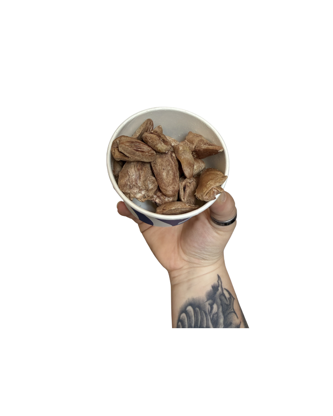 Untitled design - 66.png