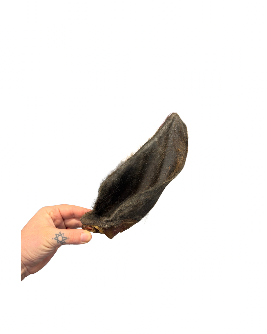Untitled design - 9.png