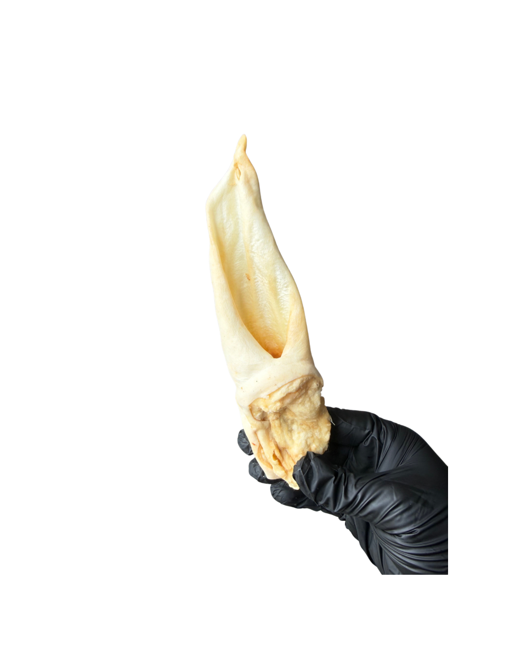 All website photos - 66.png