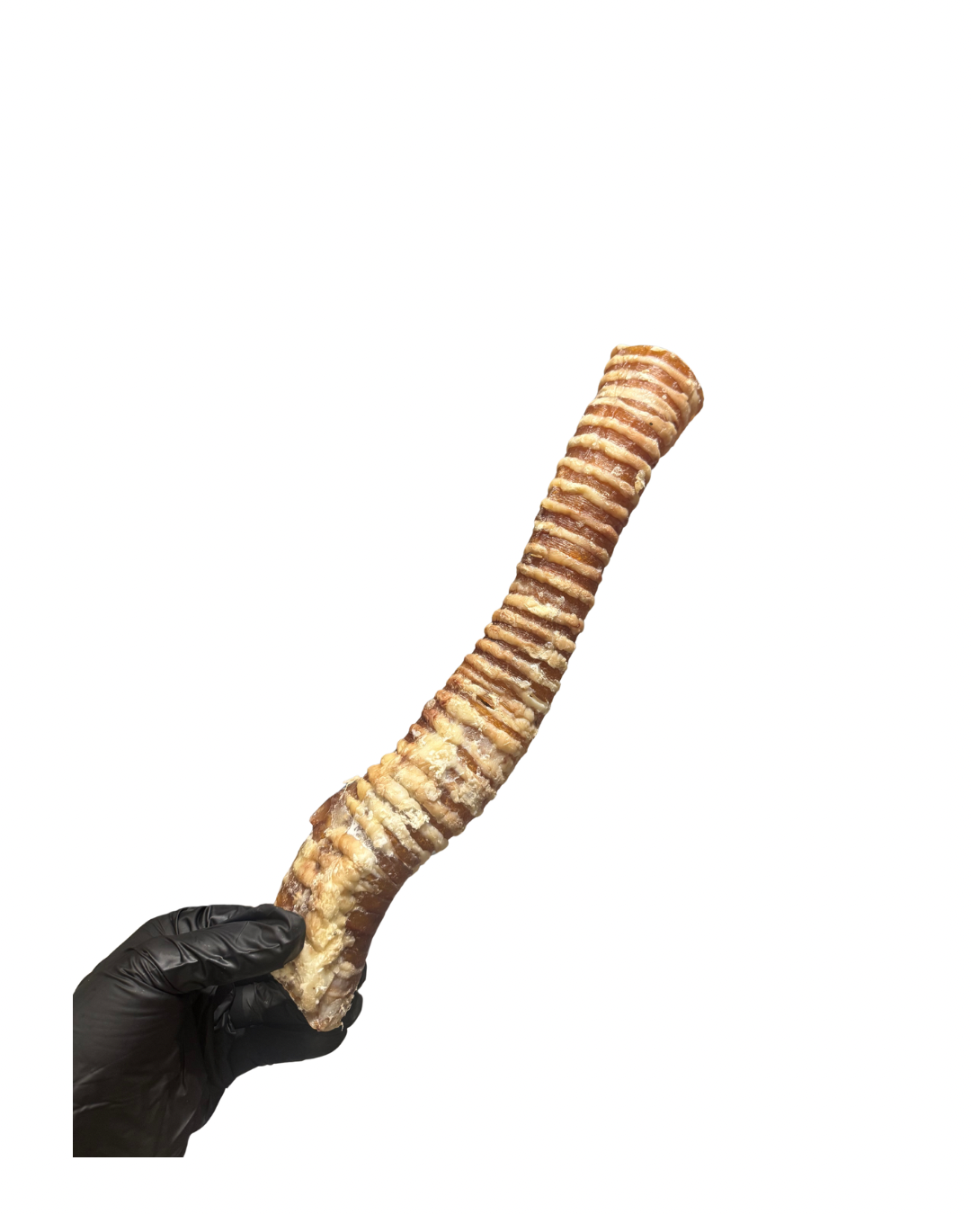 Untitled design - 55.png