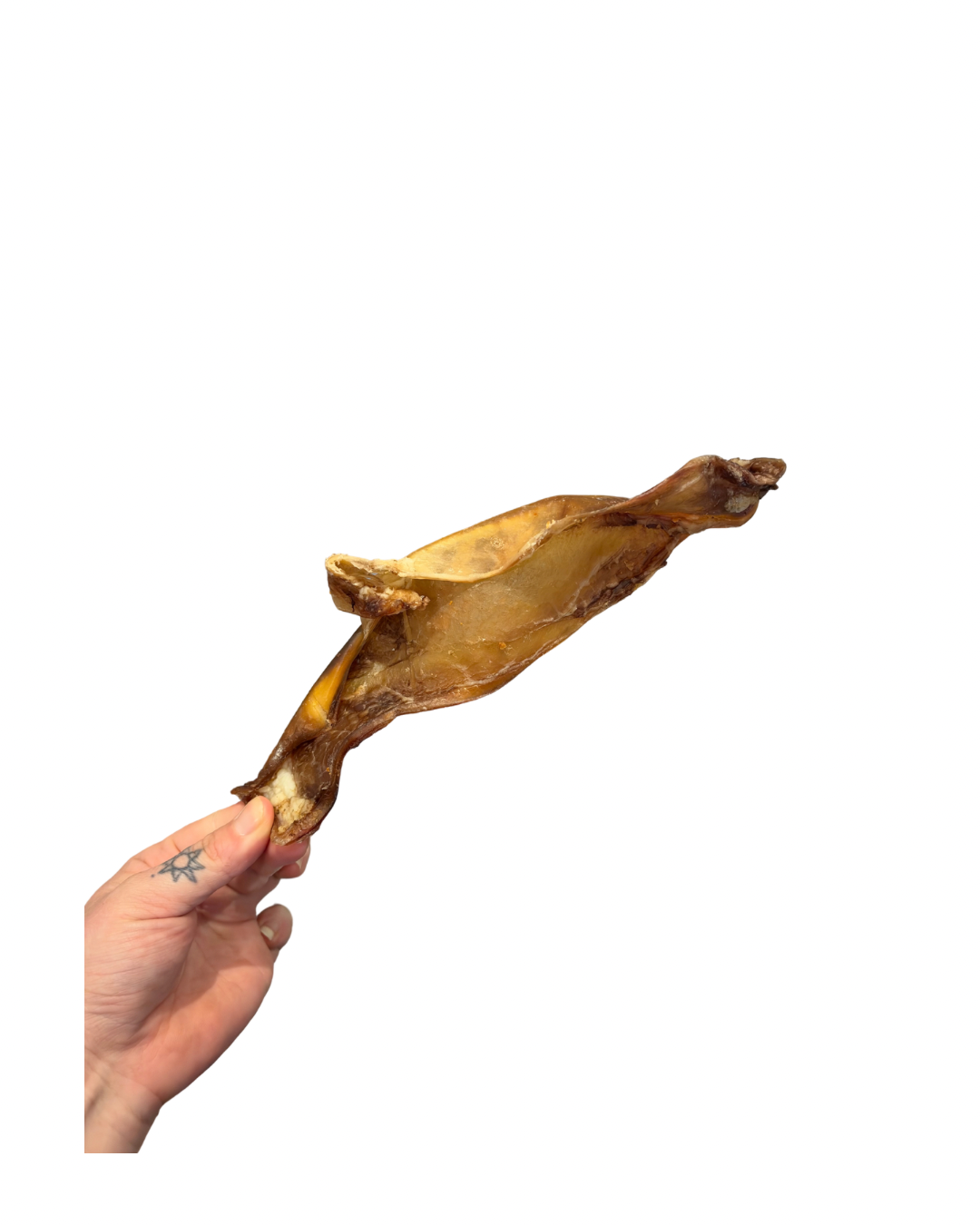 Untitled design - 8.png