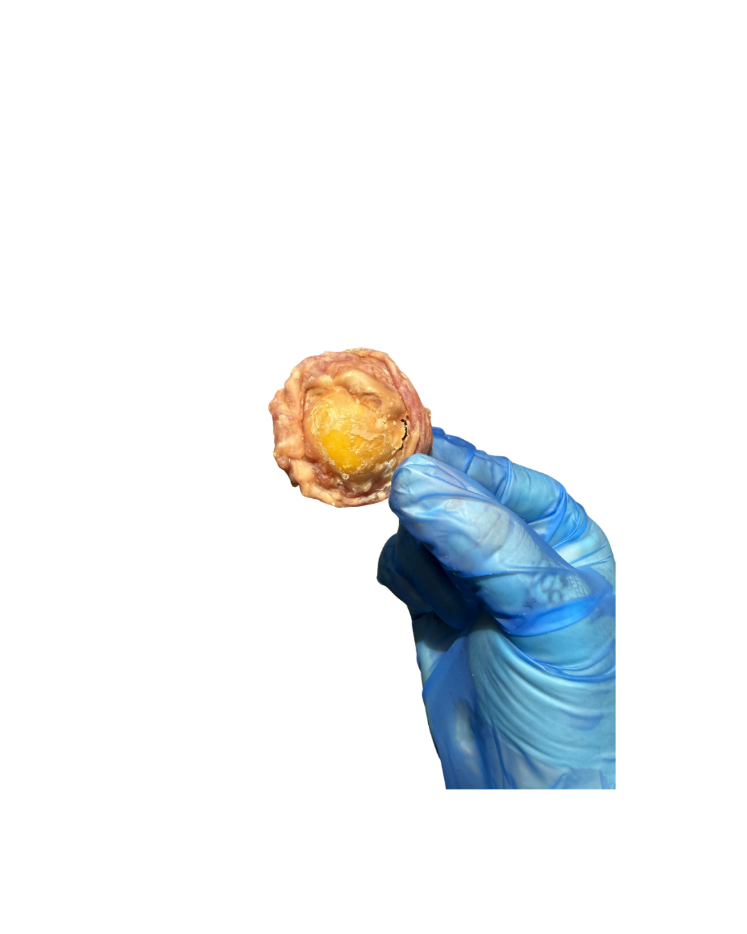 Duck Wrapped Egg Yolk