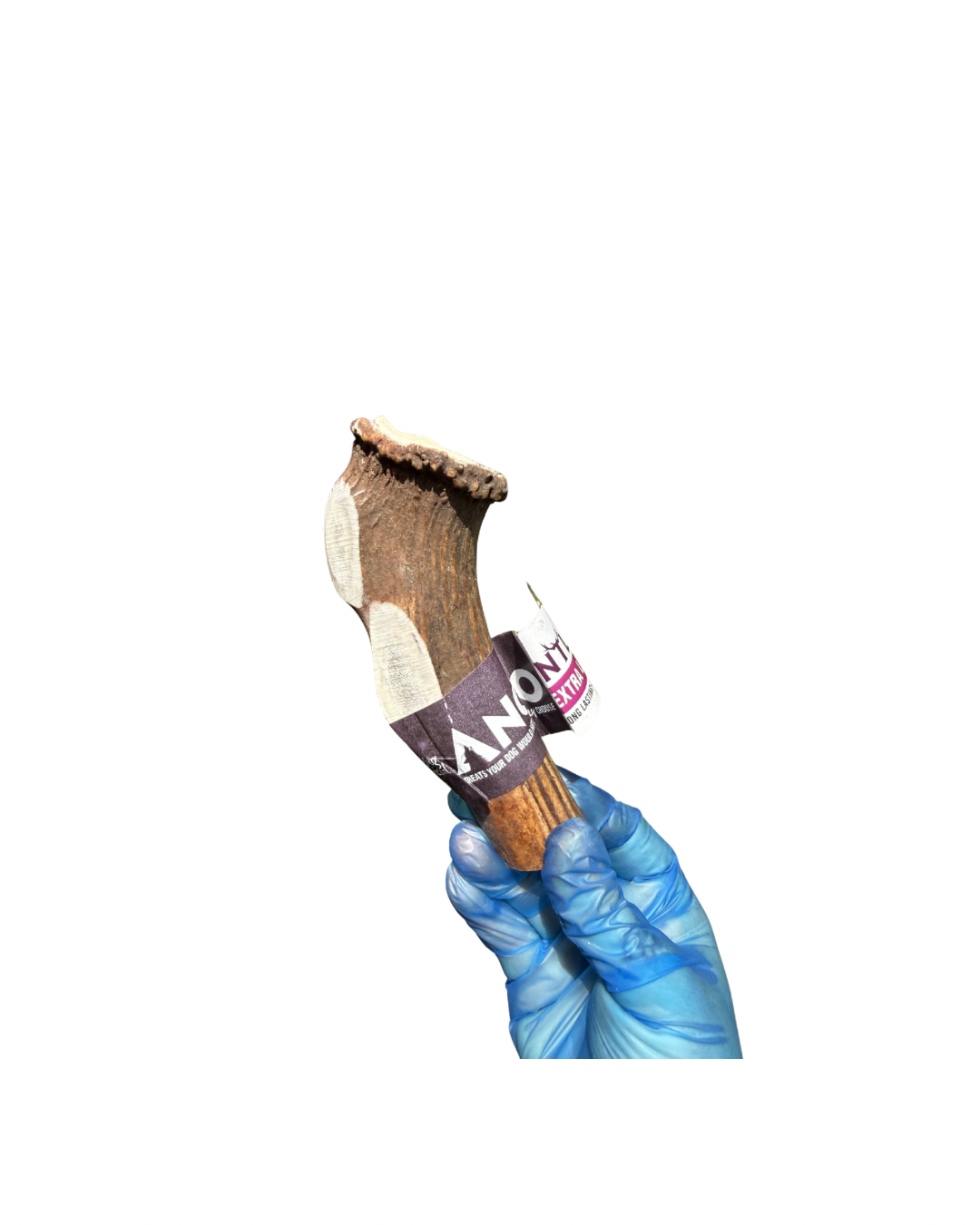 Untitled design - 30.png