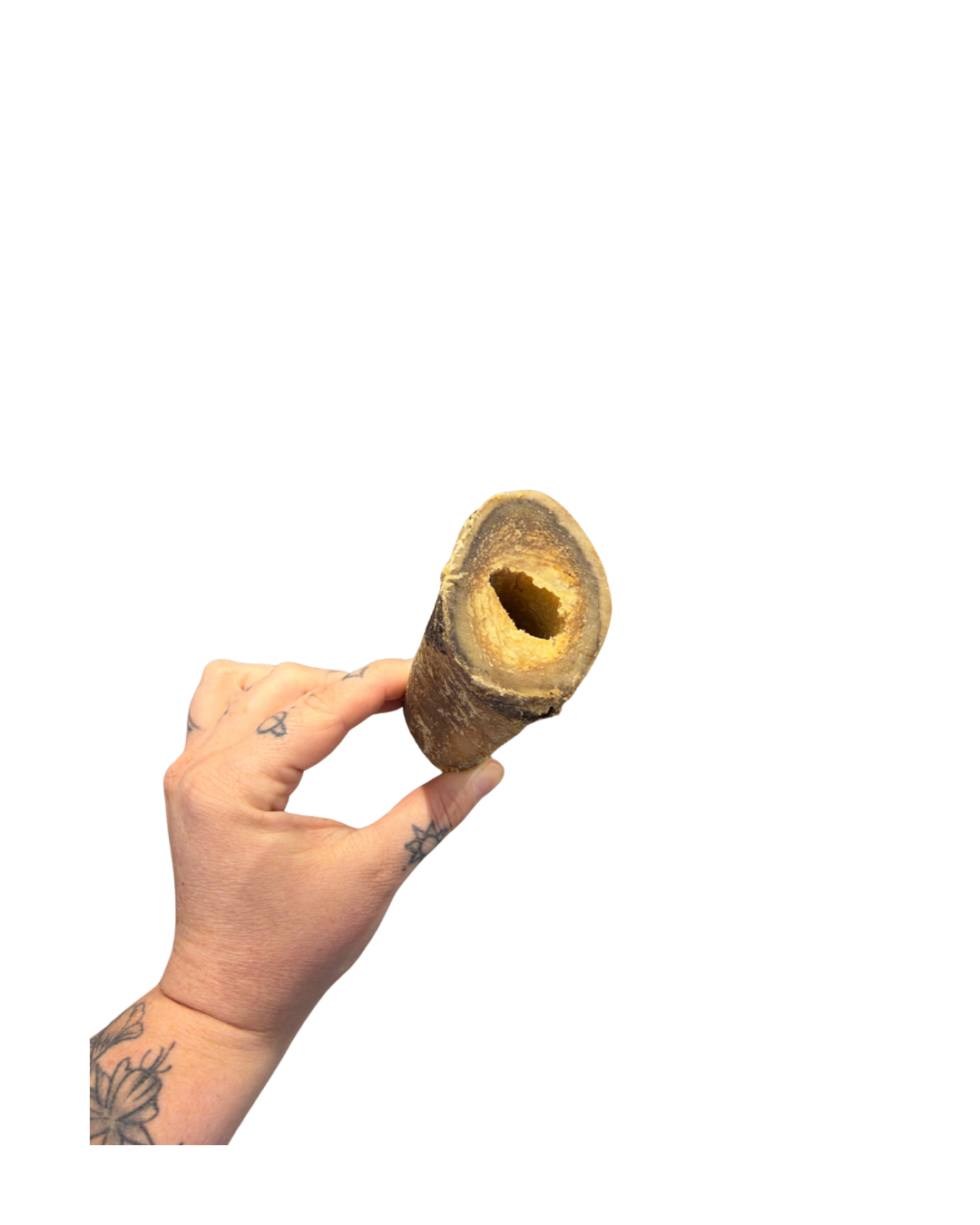 Untitled design - 3.png