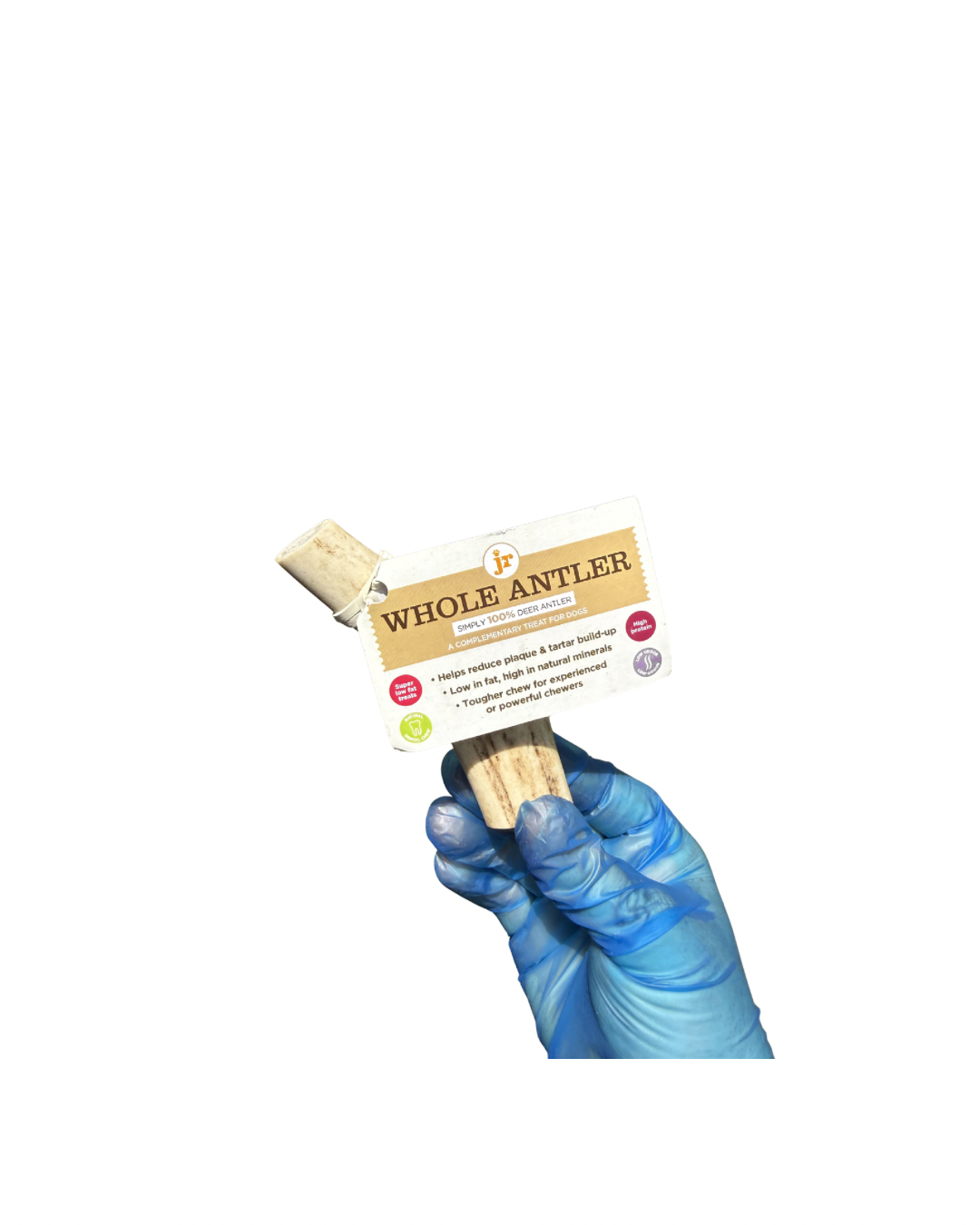 Untitled design - 28.png