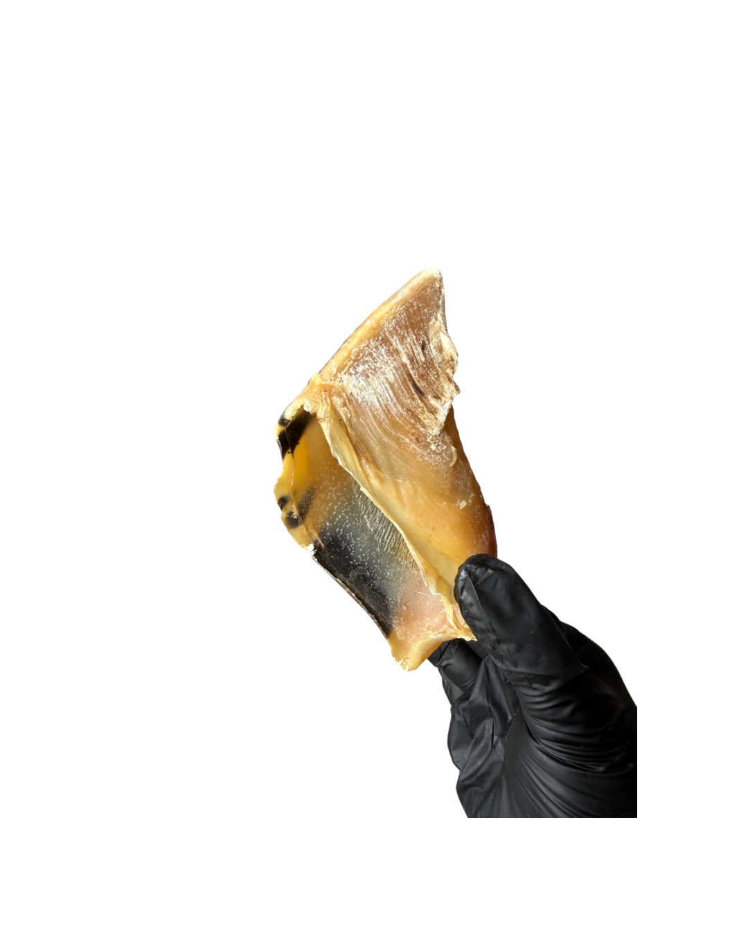 Cow Hoof