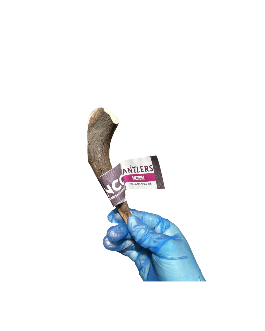 Untitled design - 29.png